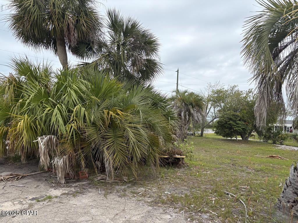 507 Cathey Lane, Mexico Beach, Florida image 1