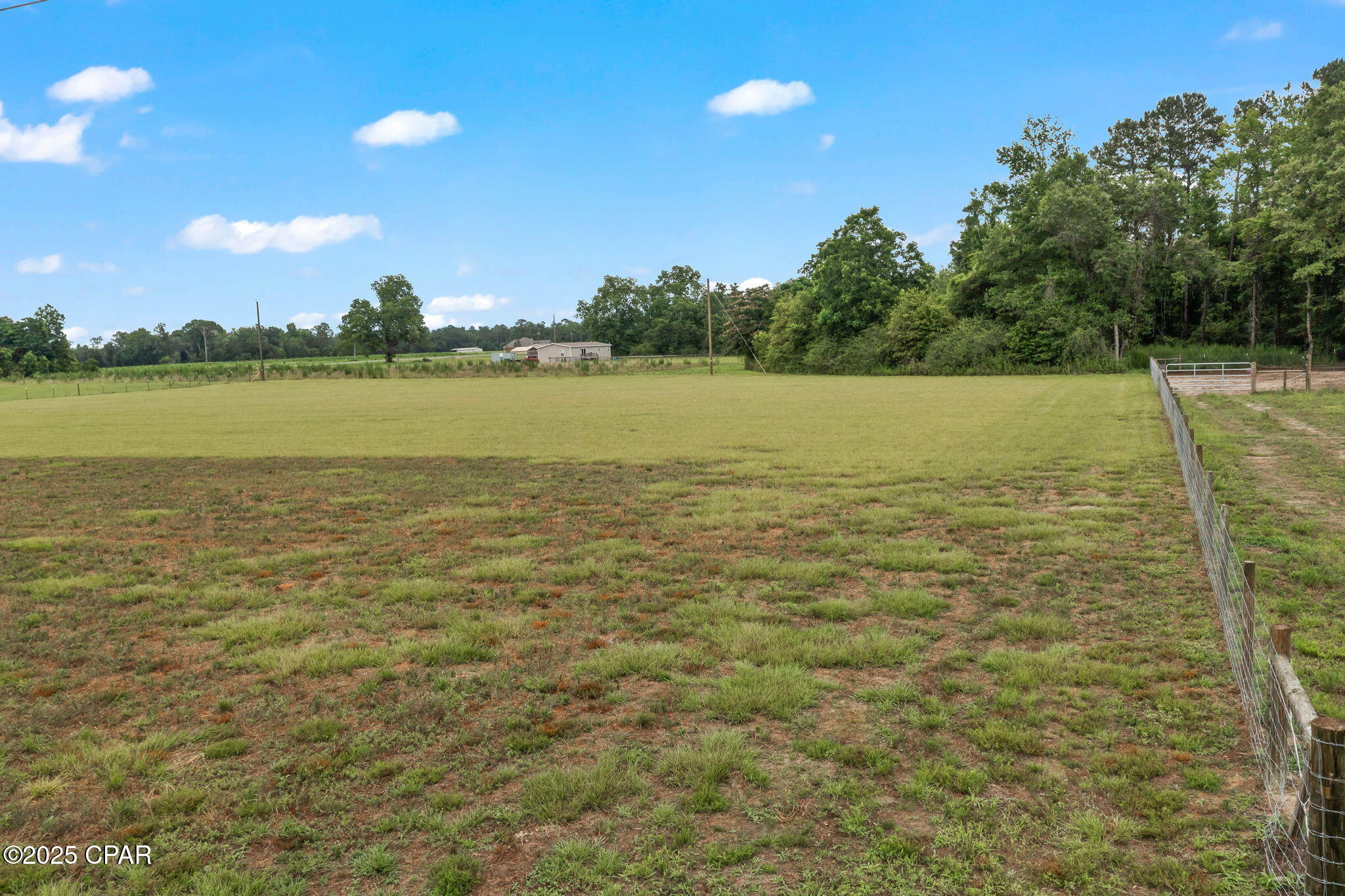 XXX Tullie Road #SOUTH LOT, Graceville, Florida image 10