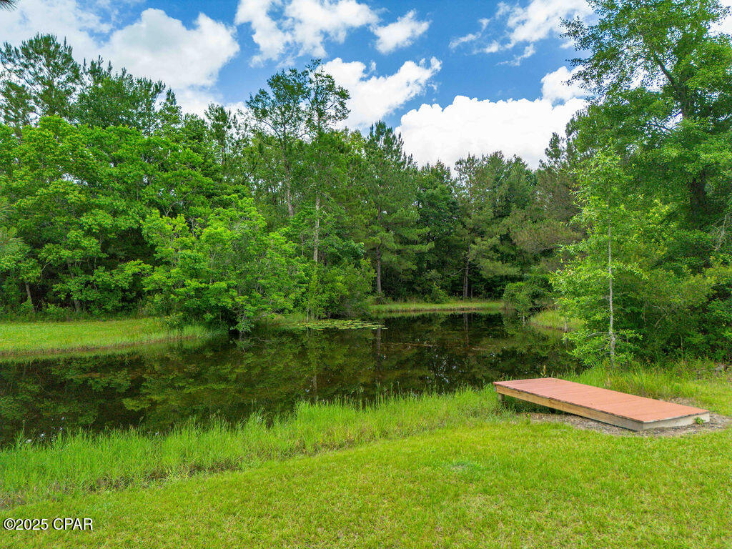 3256 Shady Grove Road, Vernon, Florida image 43