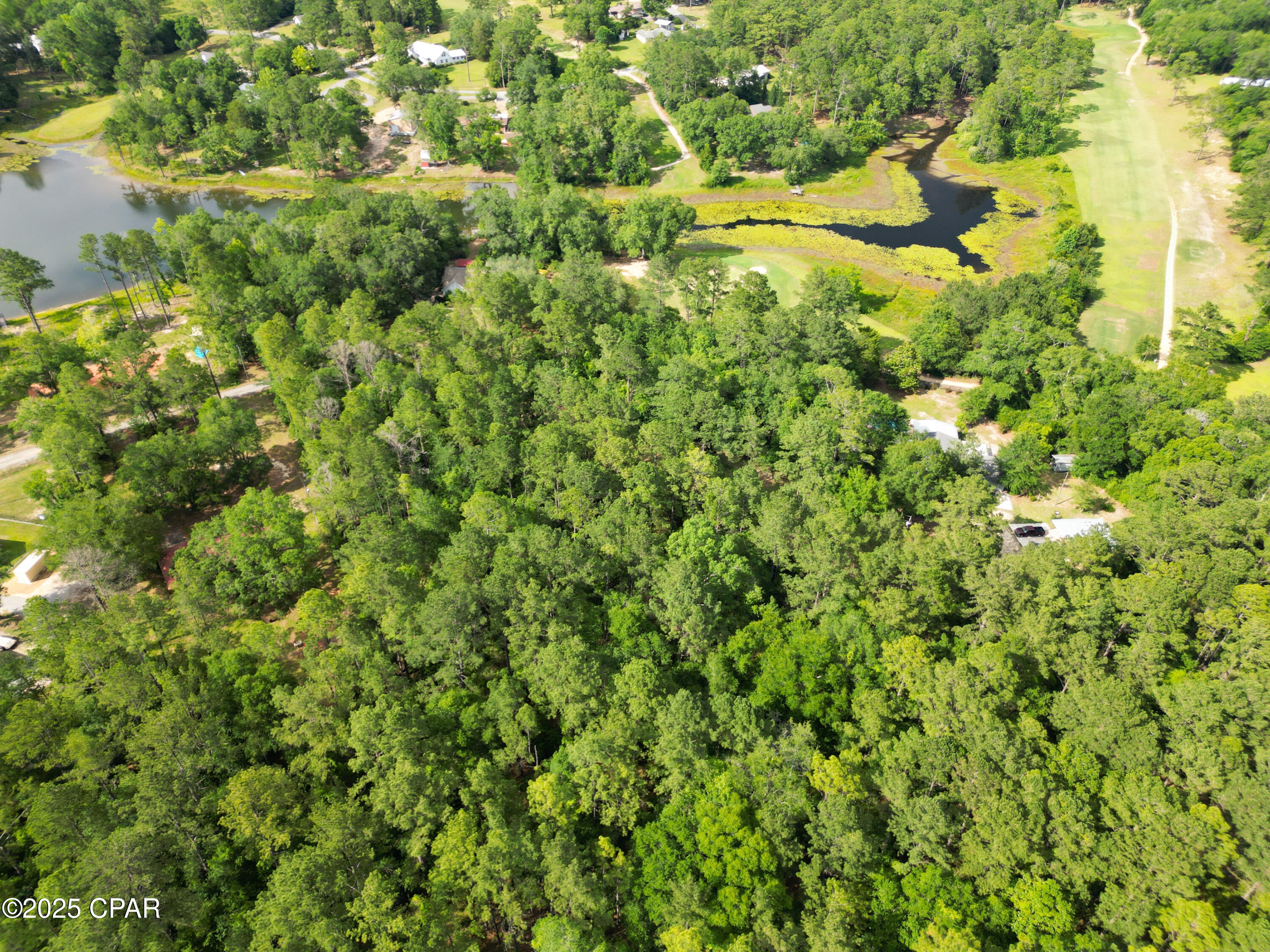 000 Fairway Drive, Bonifay, Florida image 5