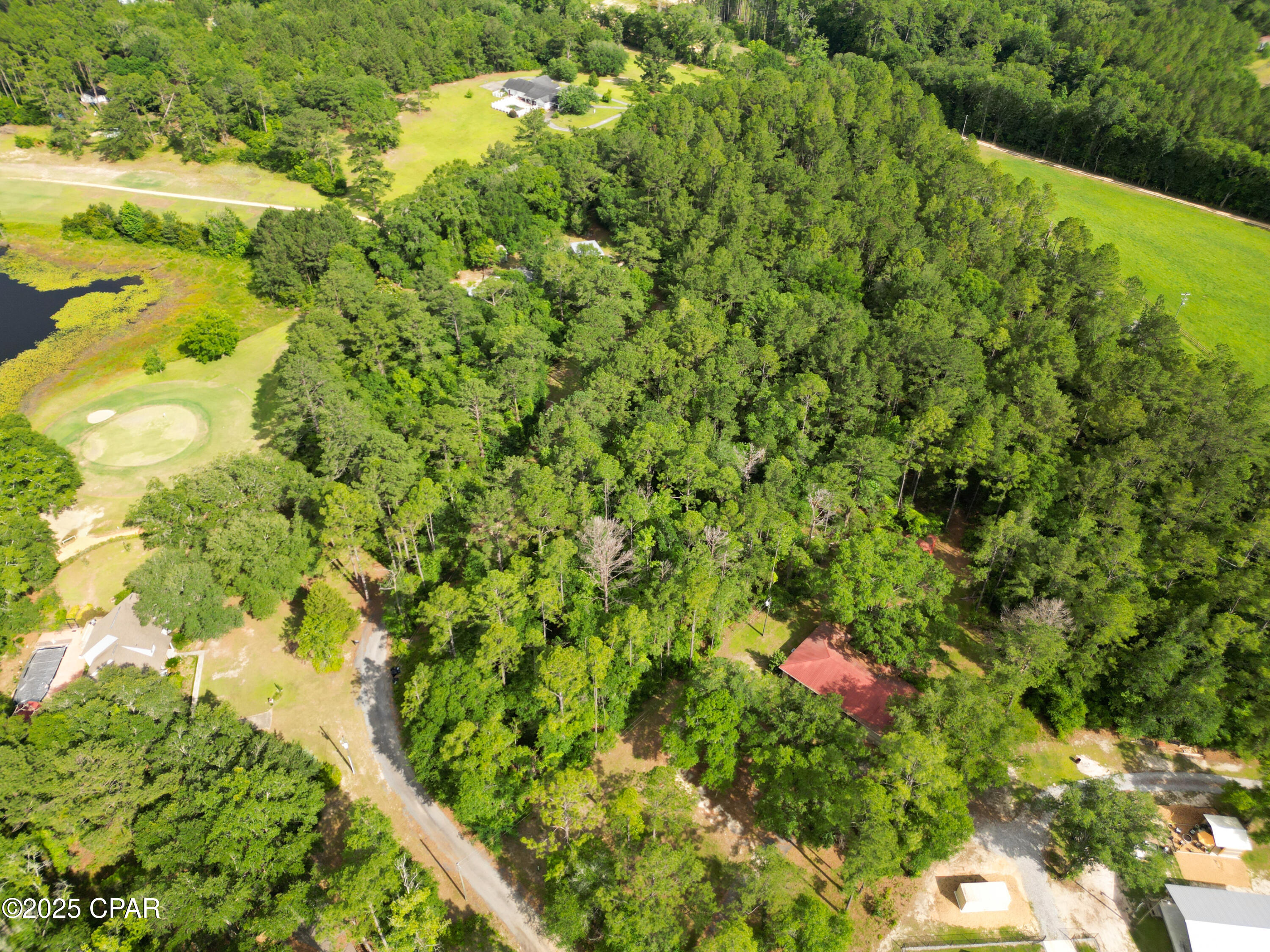 000 Fairway Drive, Bonifay, Florida image 6