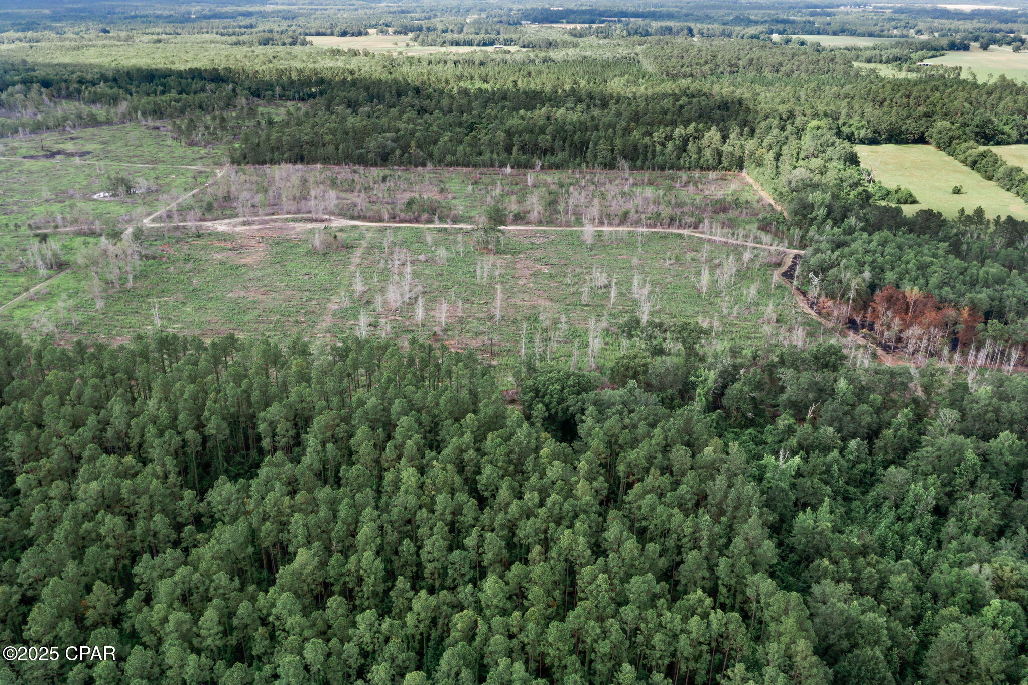 XXX Cope Road, Chipley, Florida image 11