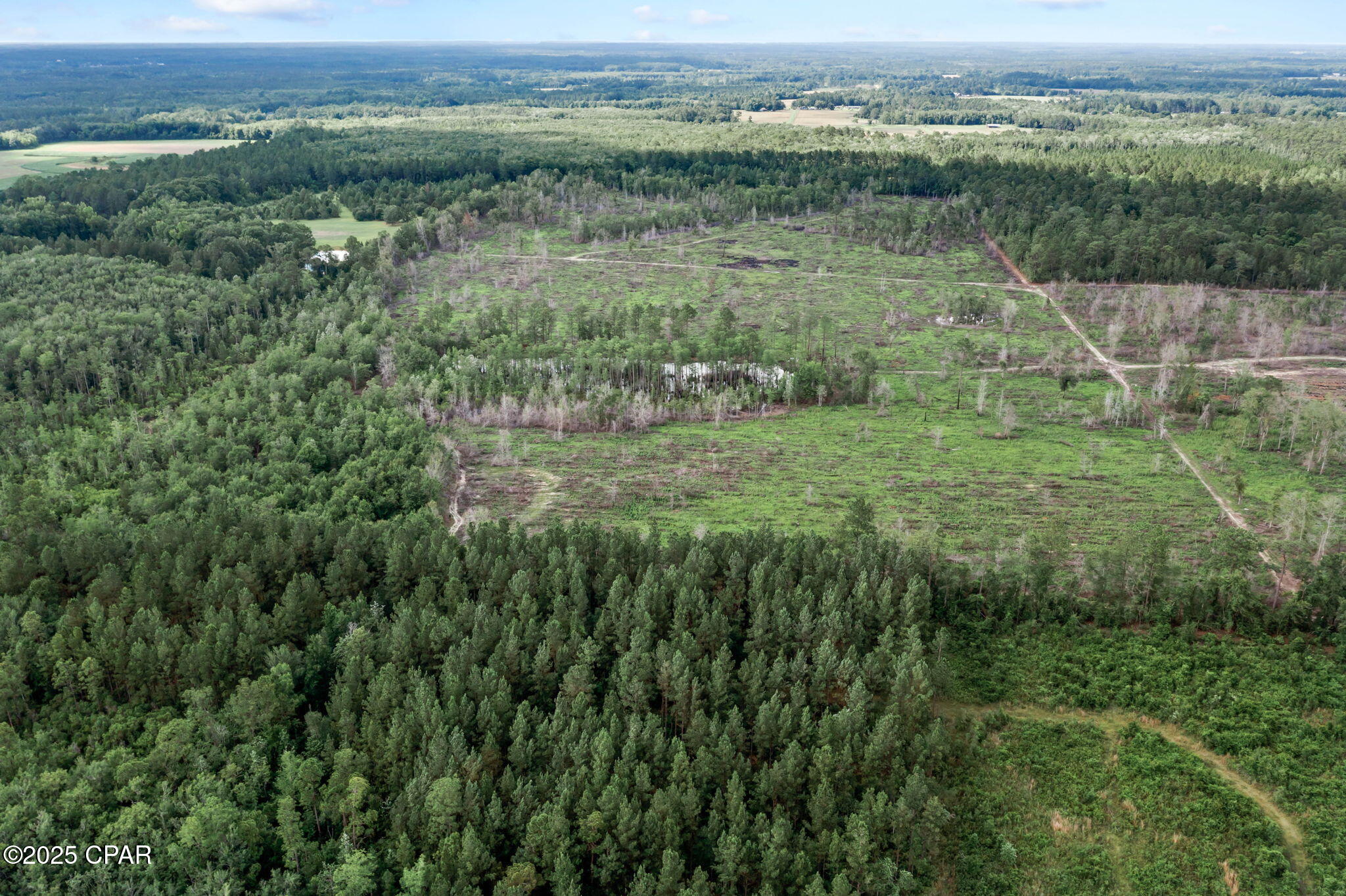 XXX Cope Road, Chipley, Florida image 12