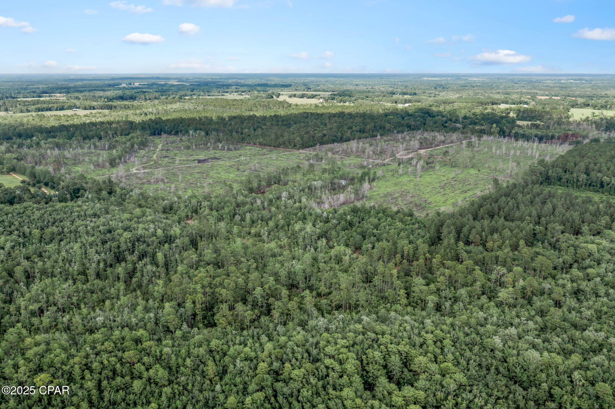XXX Cope Road, Chipley, Florida image 13