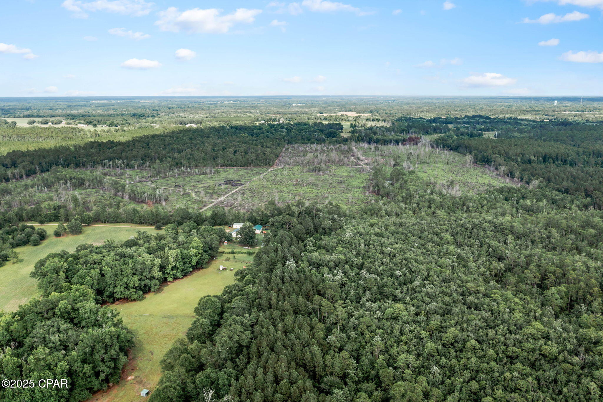 XXX Cope Road, Chipley, Florida image 14