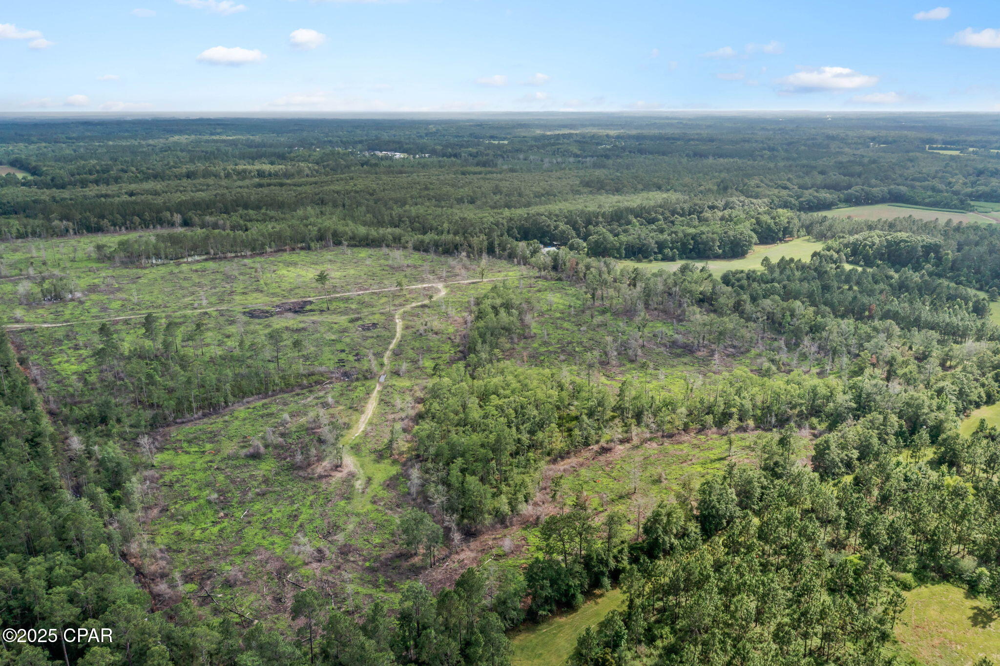 XXX Cope Road, Chipley, Florida image 17