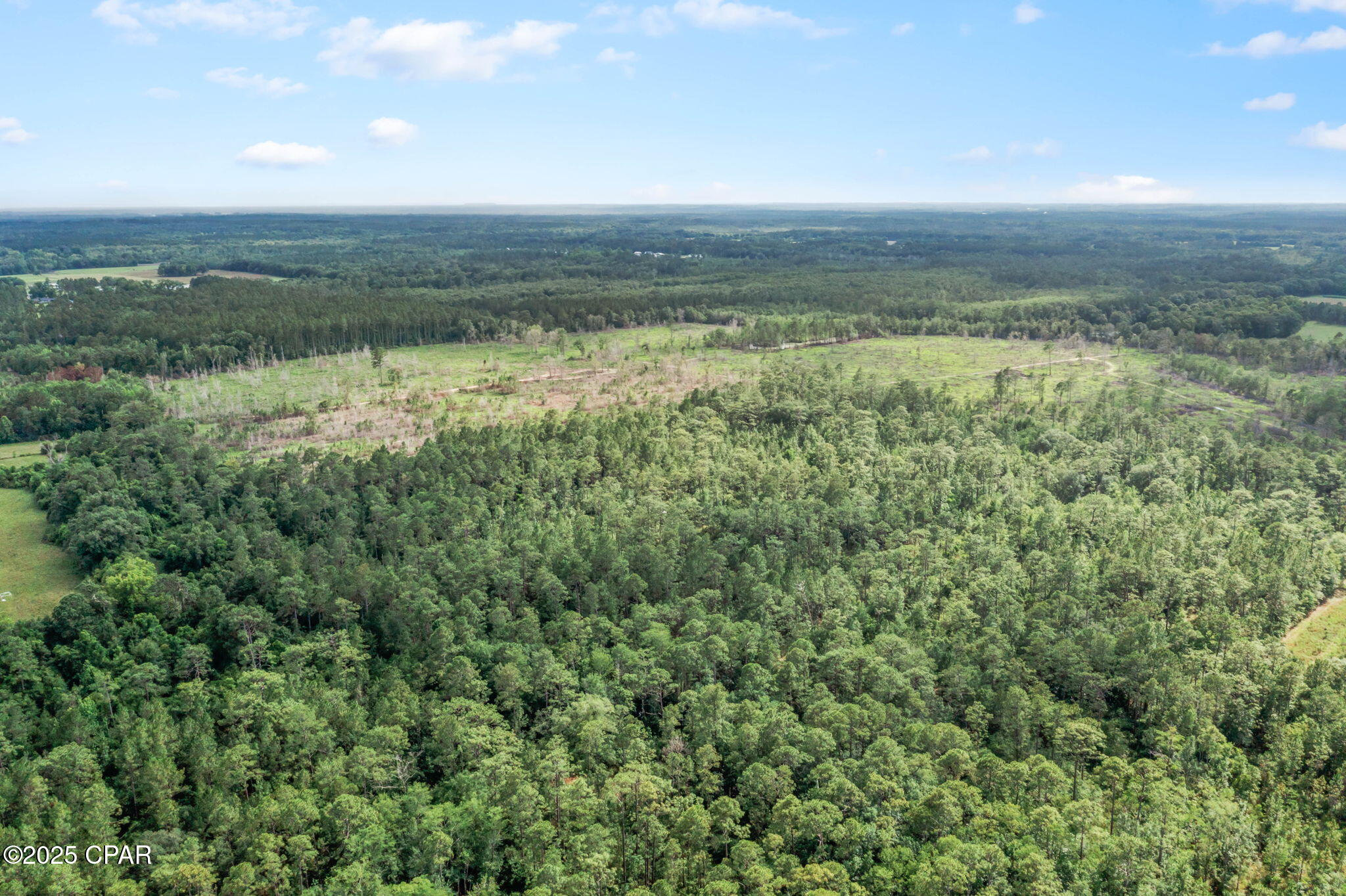 XXX Cope Road, Chipley, Florida image 18