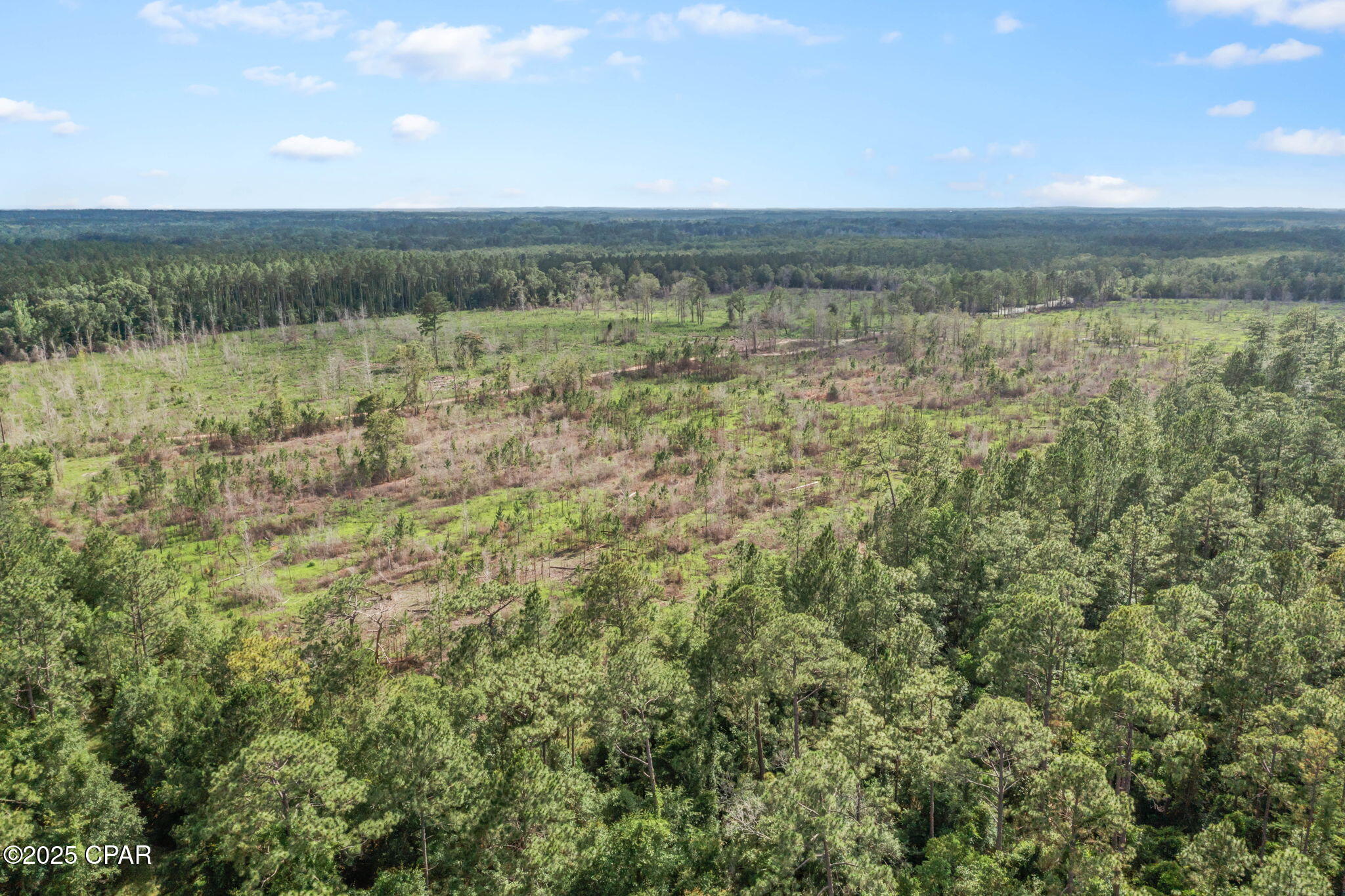 XXX Cope Road, Chipley, Florida image 19