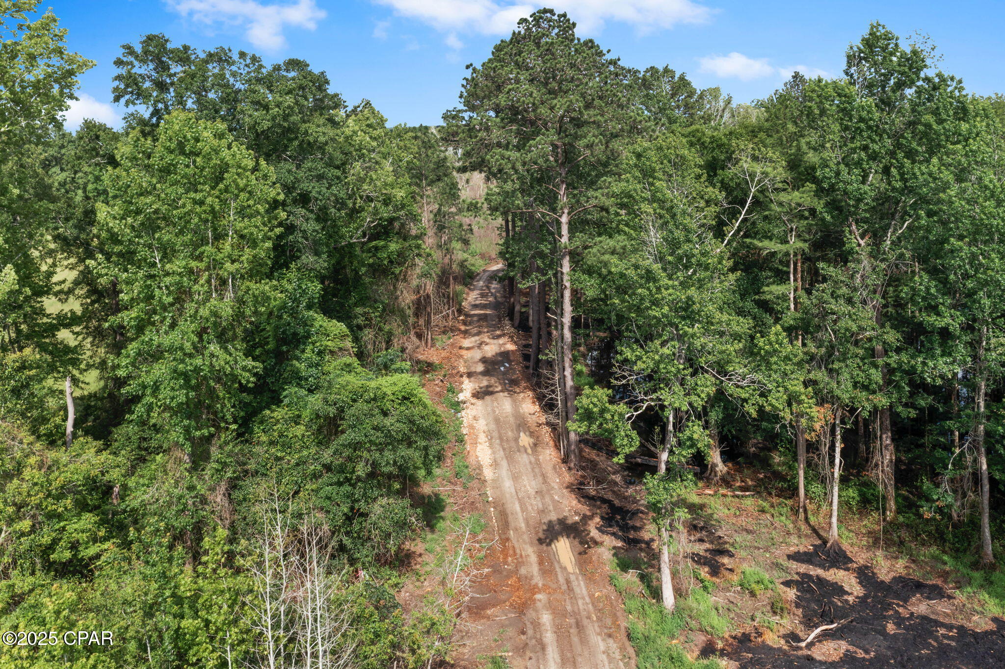 XXX Cope Road, Chipley, Florida image 2