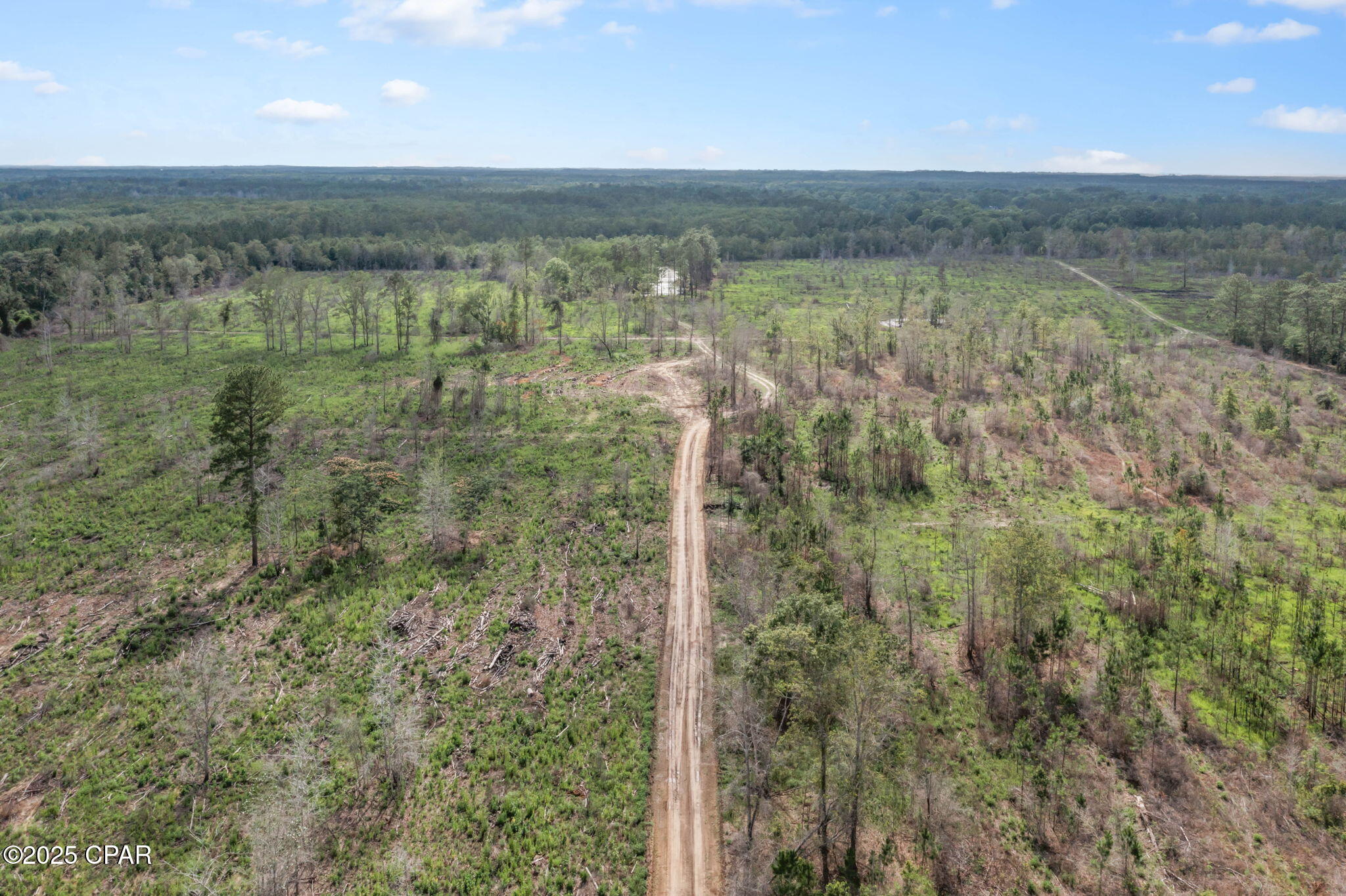 XXX Cope Road, Chipley, Florida image 20
