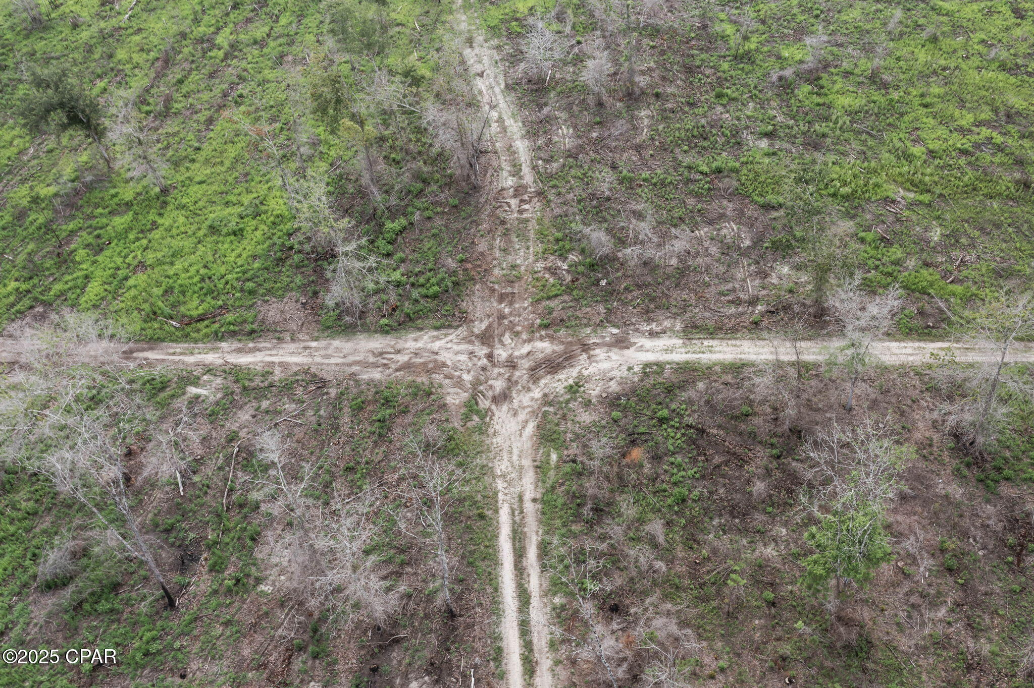 XXX Cope Road, Chipley, Florida image 22