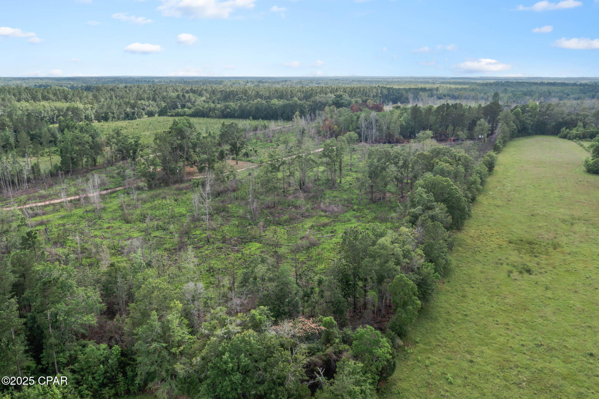 XXX Cope Road, Chipley, Florida image 26