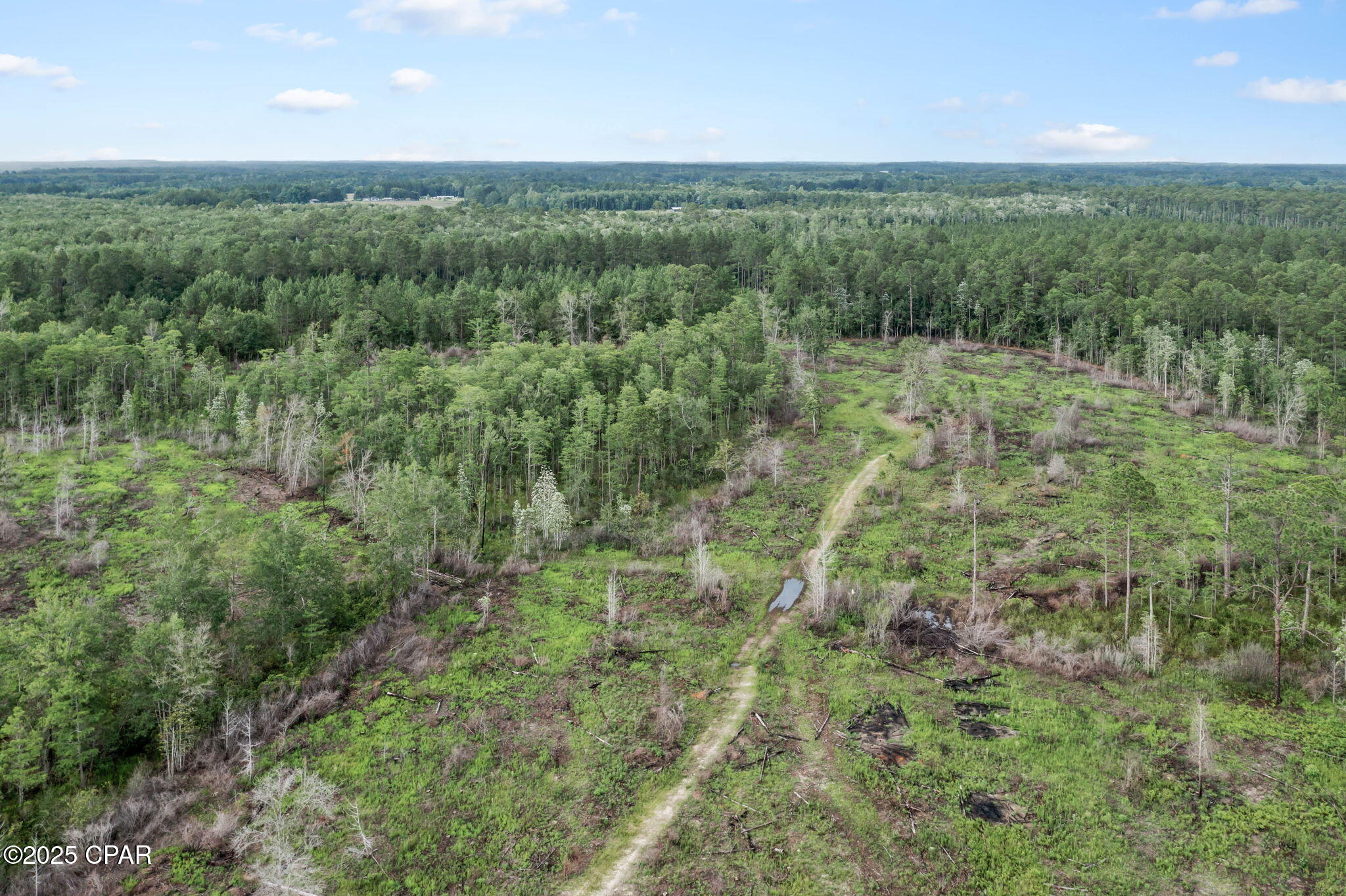 XXX Cope Road, Chipley, Florida image 31