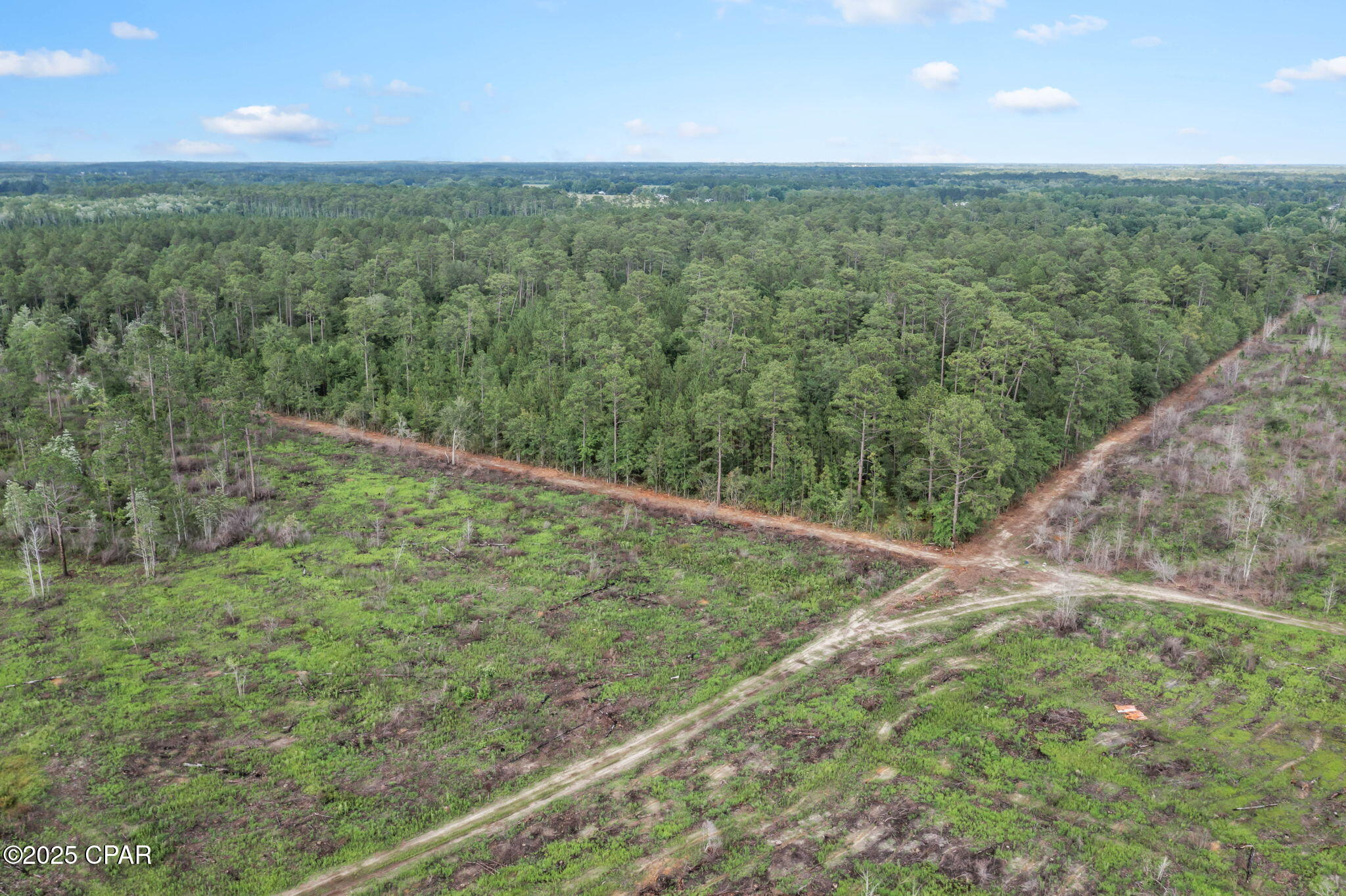 XXX Cope Road, Chipley, Florida image 32