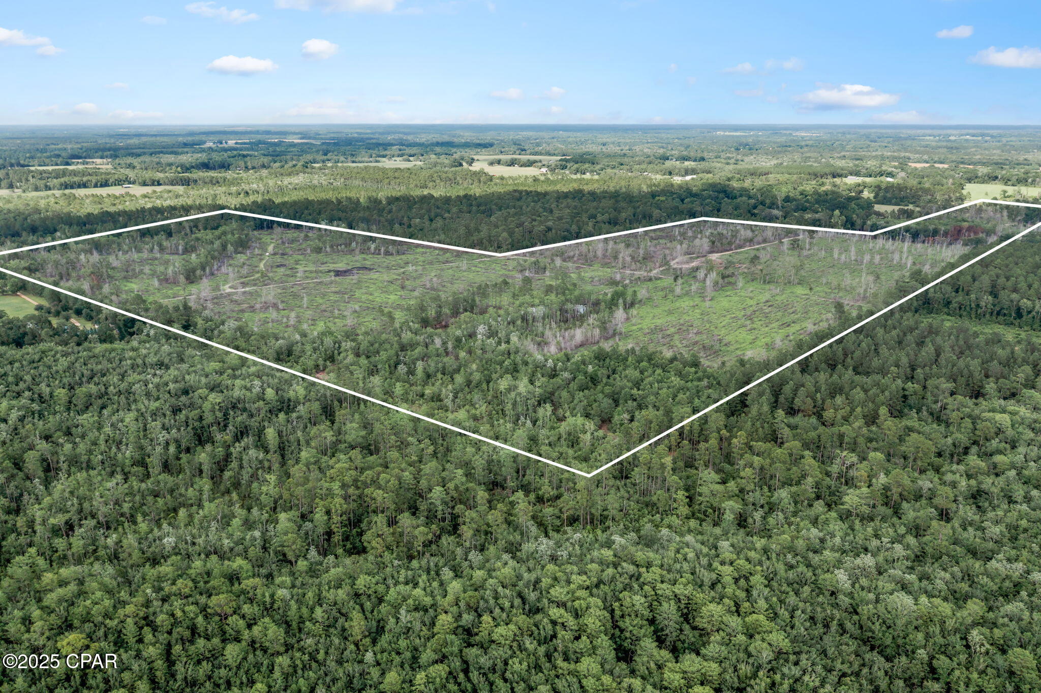 XXX Cope Road, Chipley, Florida image 6