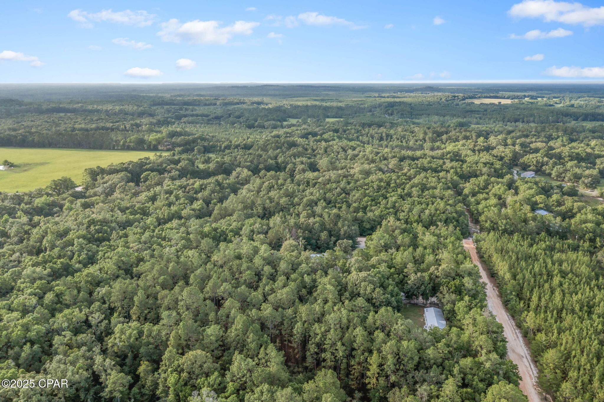 4196 Chapel Branch Drive, Vernon, Florida image 33