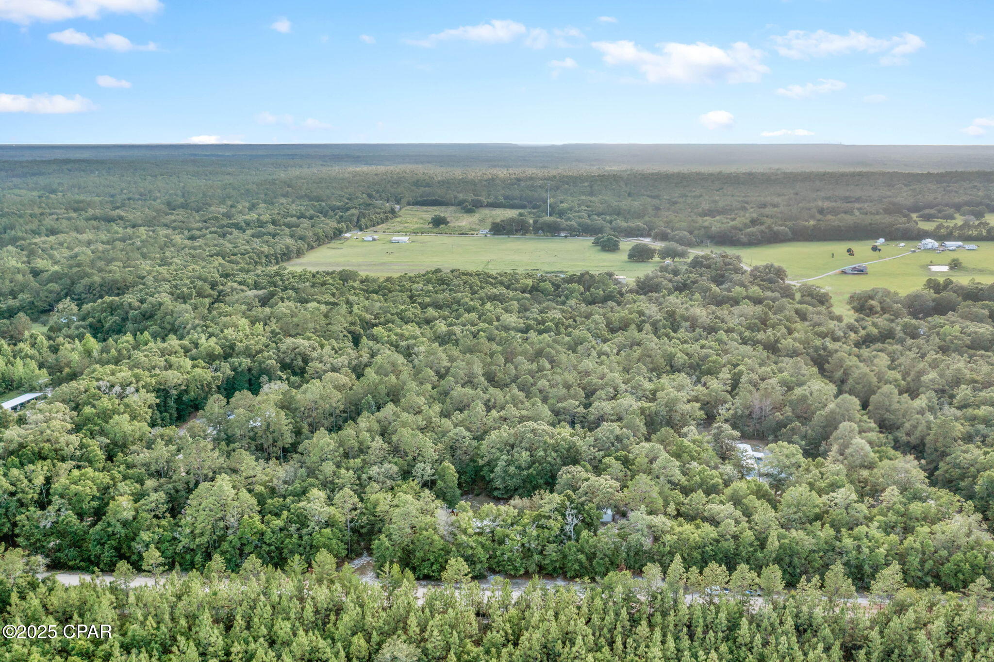 4196 Chapel Branch Drive, Vernon, Florida image 36