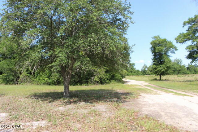 5929 Nichols Road, Bascom, Florida image 28