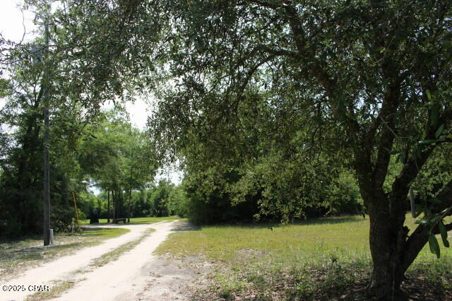 5929 Nichols Road, Bascom, Florida image 30