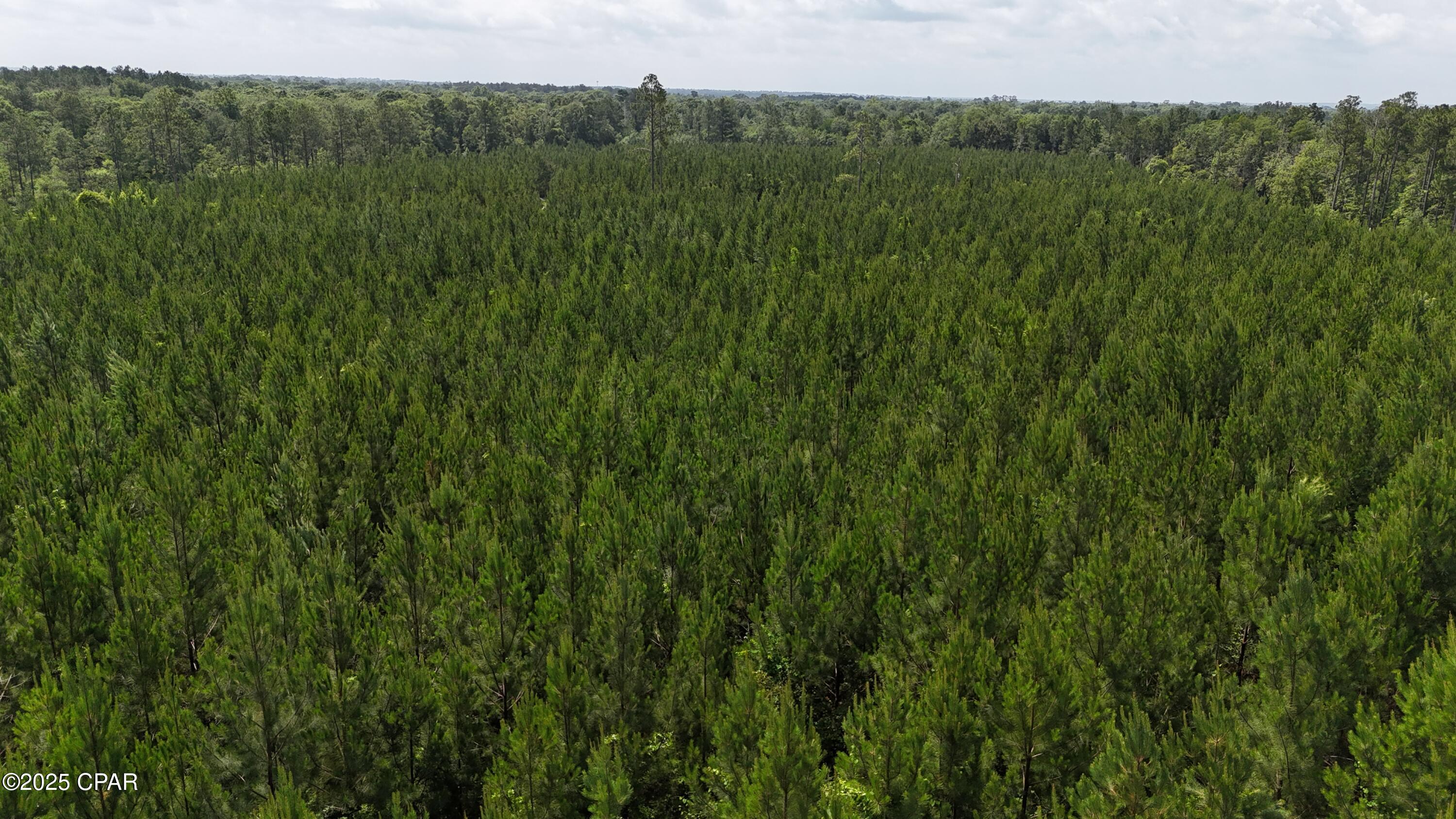 00 Douglas Ferry Road, Chipley, Florida image 3