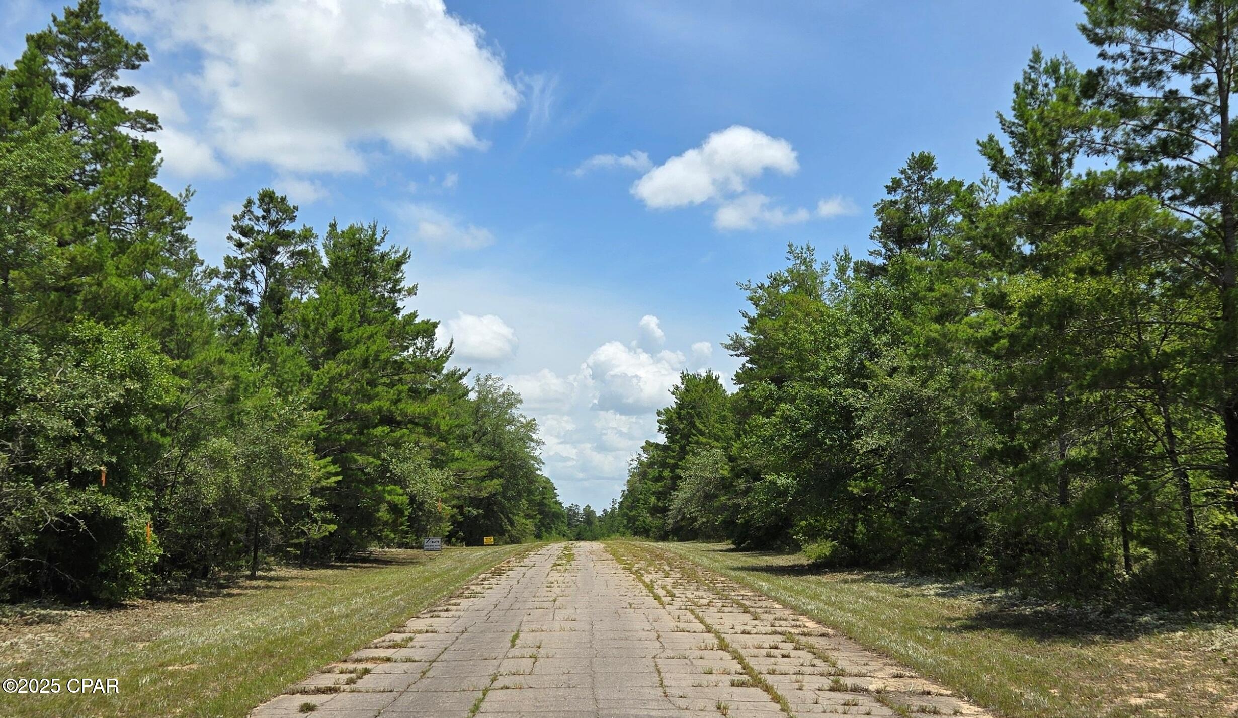 Lot 7 Jamaica Circle, Chipley, Florida image 6
