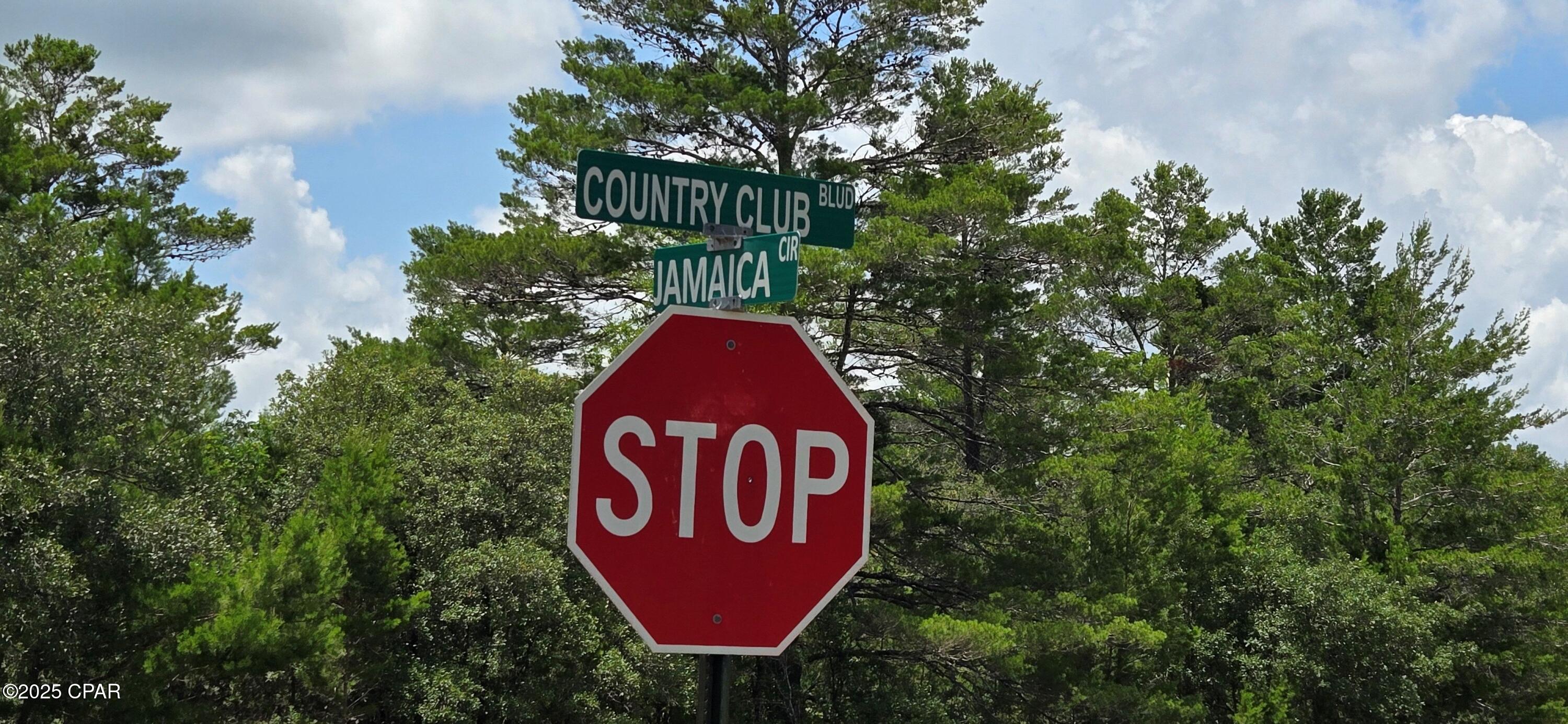 Lot 7 Jamaica Circle, Chipley, Florida image 7