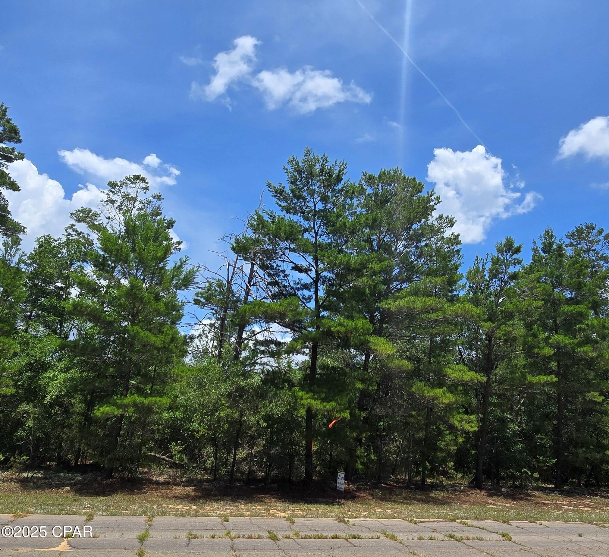 Lot 8 Jamaica Circle, Chipley, Florida image 1