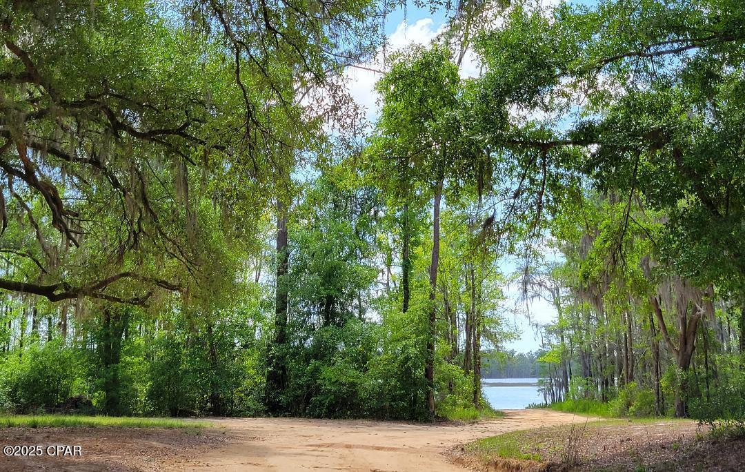 Lot 8 Jamaica Circle, Chipley, Florida image 10