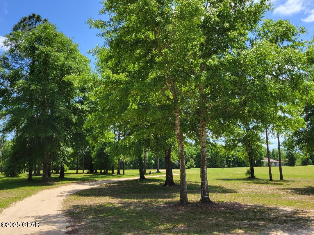 Lot 8 Jamaica Circle, Chipley, Florida image 13