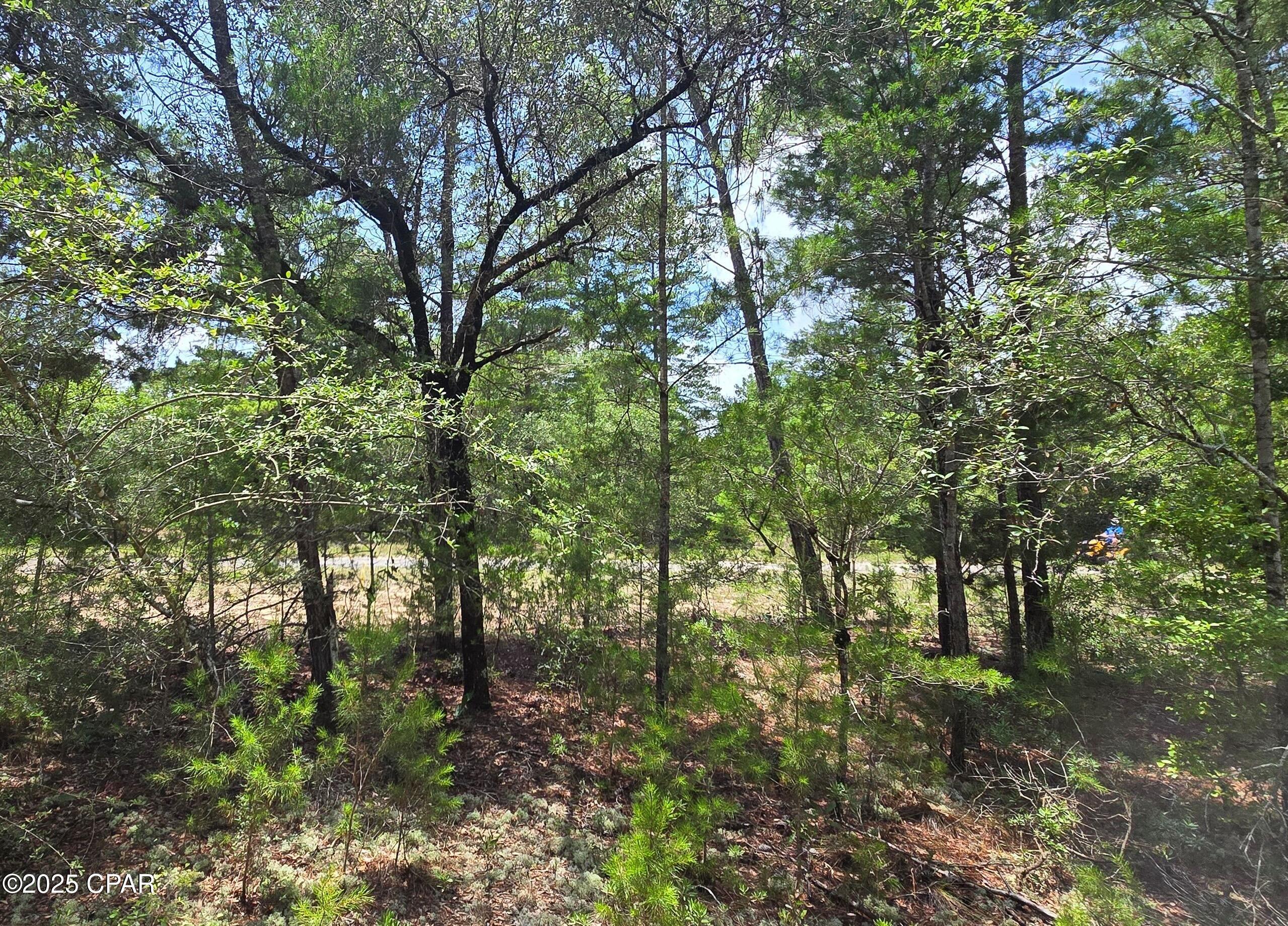 Lot 8 Jamaica Circle, Chipley, Florida image 2