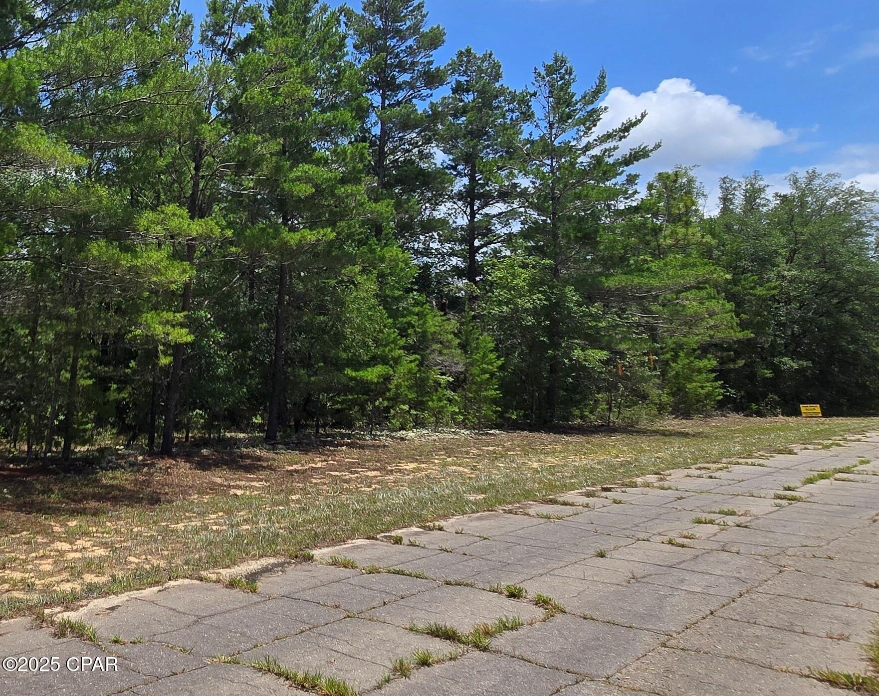 Lot 8 Jamaica Circle, Chipley, Florida image 4