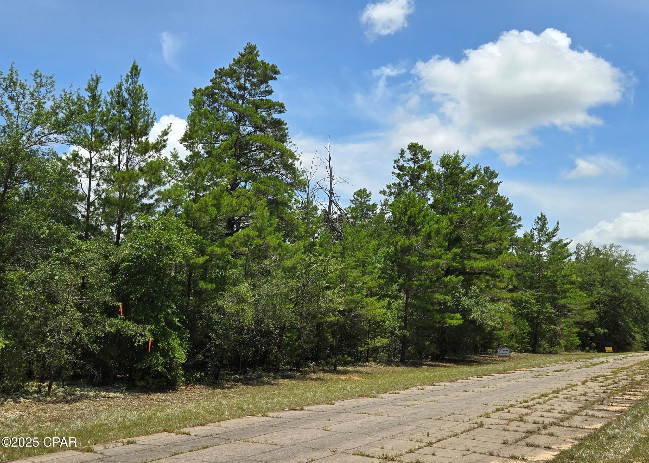 Lot 8 Jamaica Circle, Chipley, Florida image 5