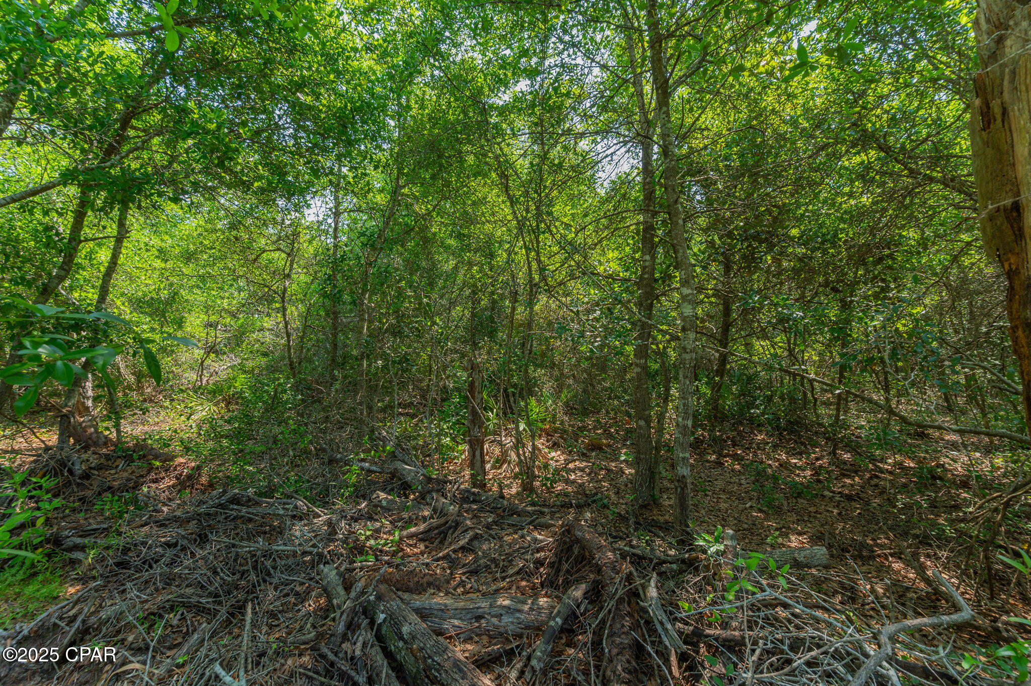 Image 12 For 00 Calhoun Avenue