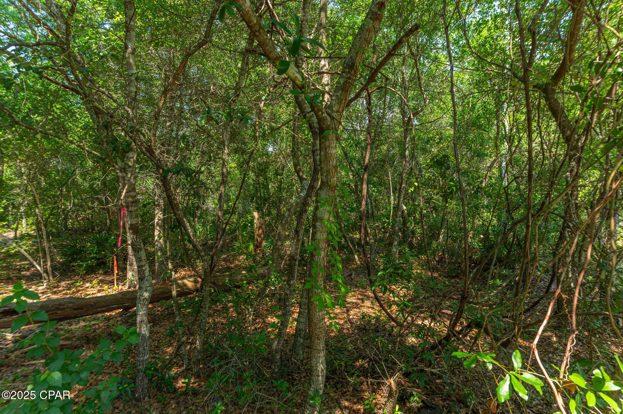 00 Calhoun Avenue, Destin, Florida image 15