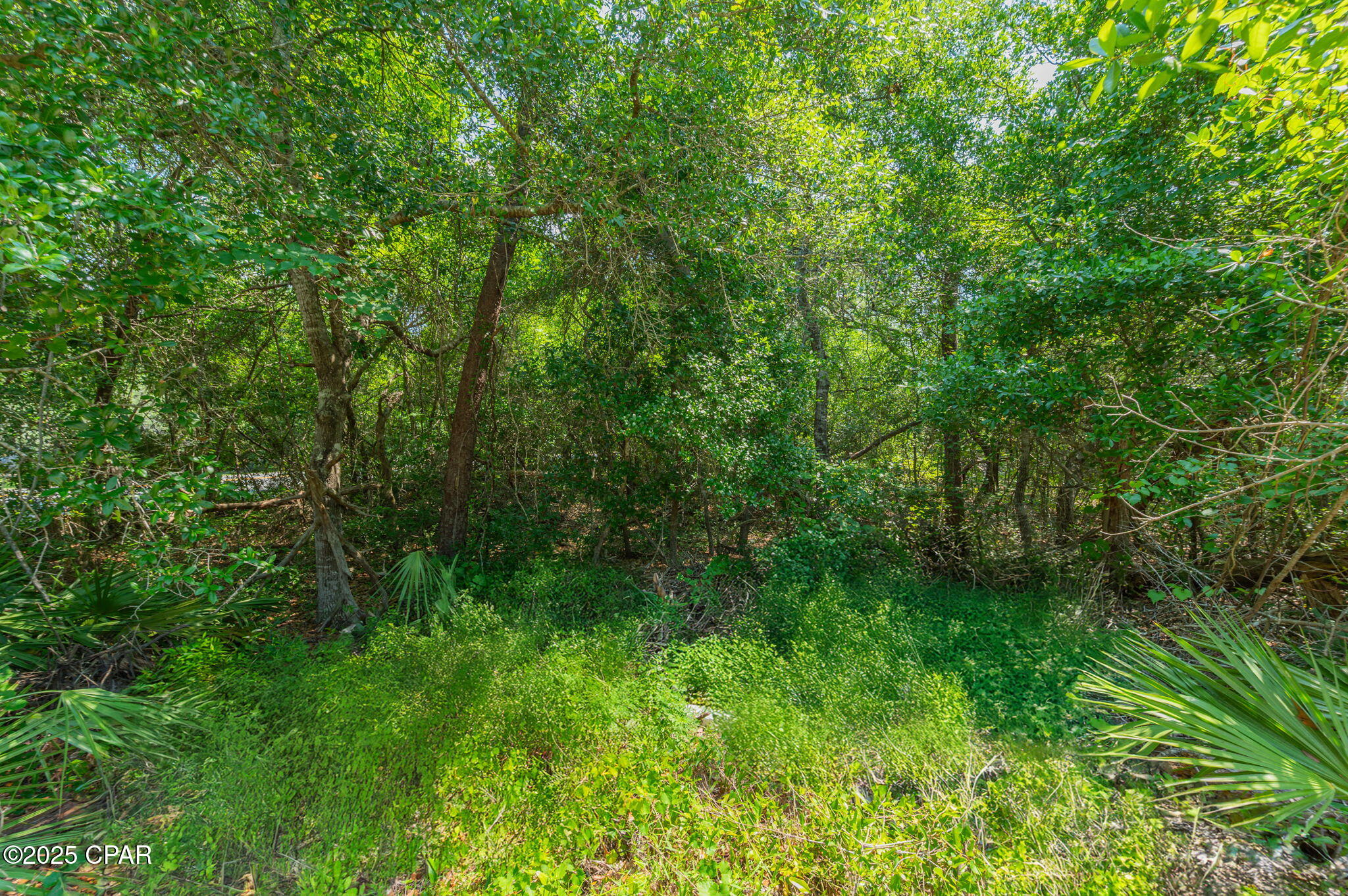 00 Calhoun Avenue, Destin, Florida image 17