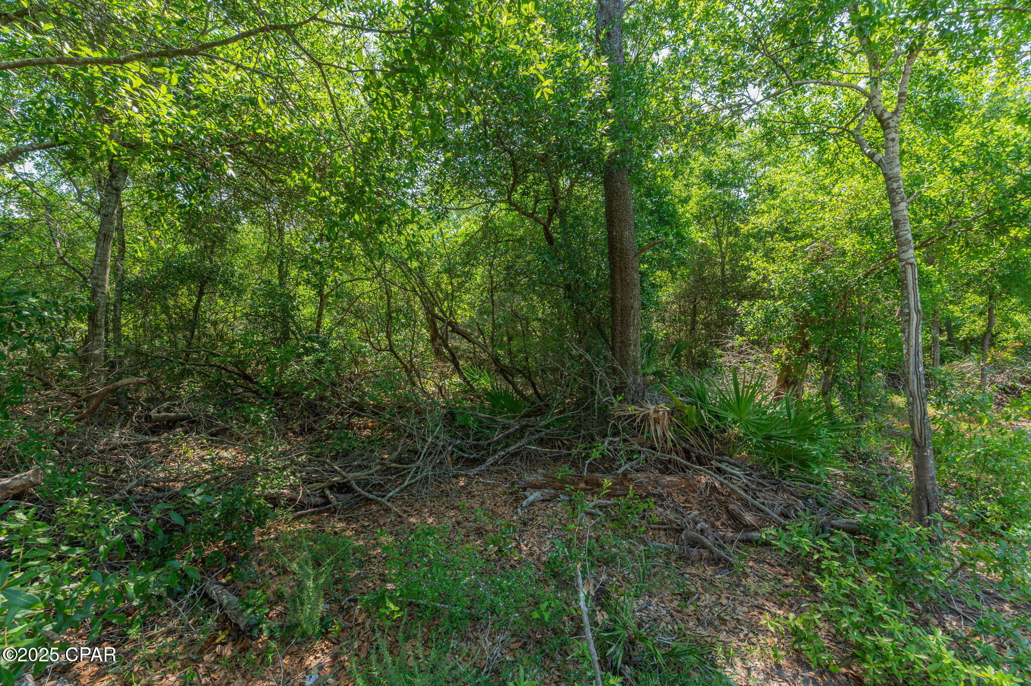 Image 24 For 00 Calhoun Avenue