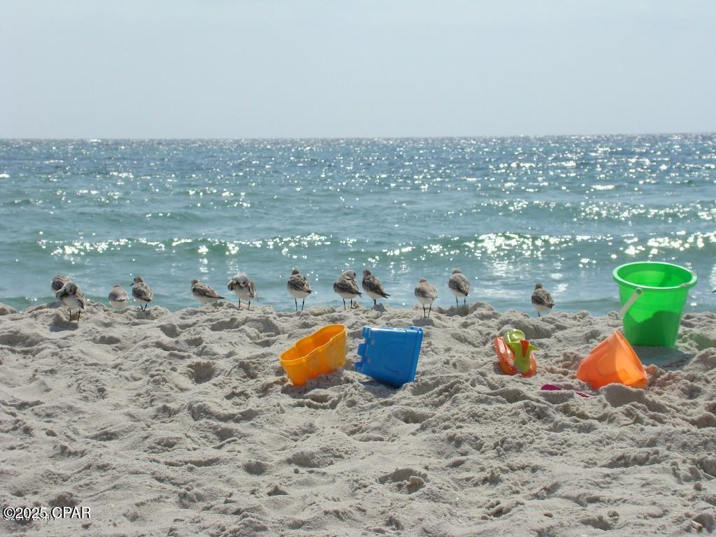 23223 Front Beach Road #335, Panama City Beach, Florida image 31