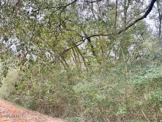 Image 2 For 0 Tamarac Road