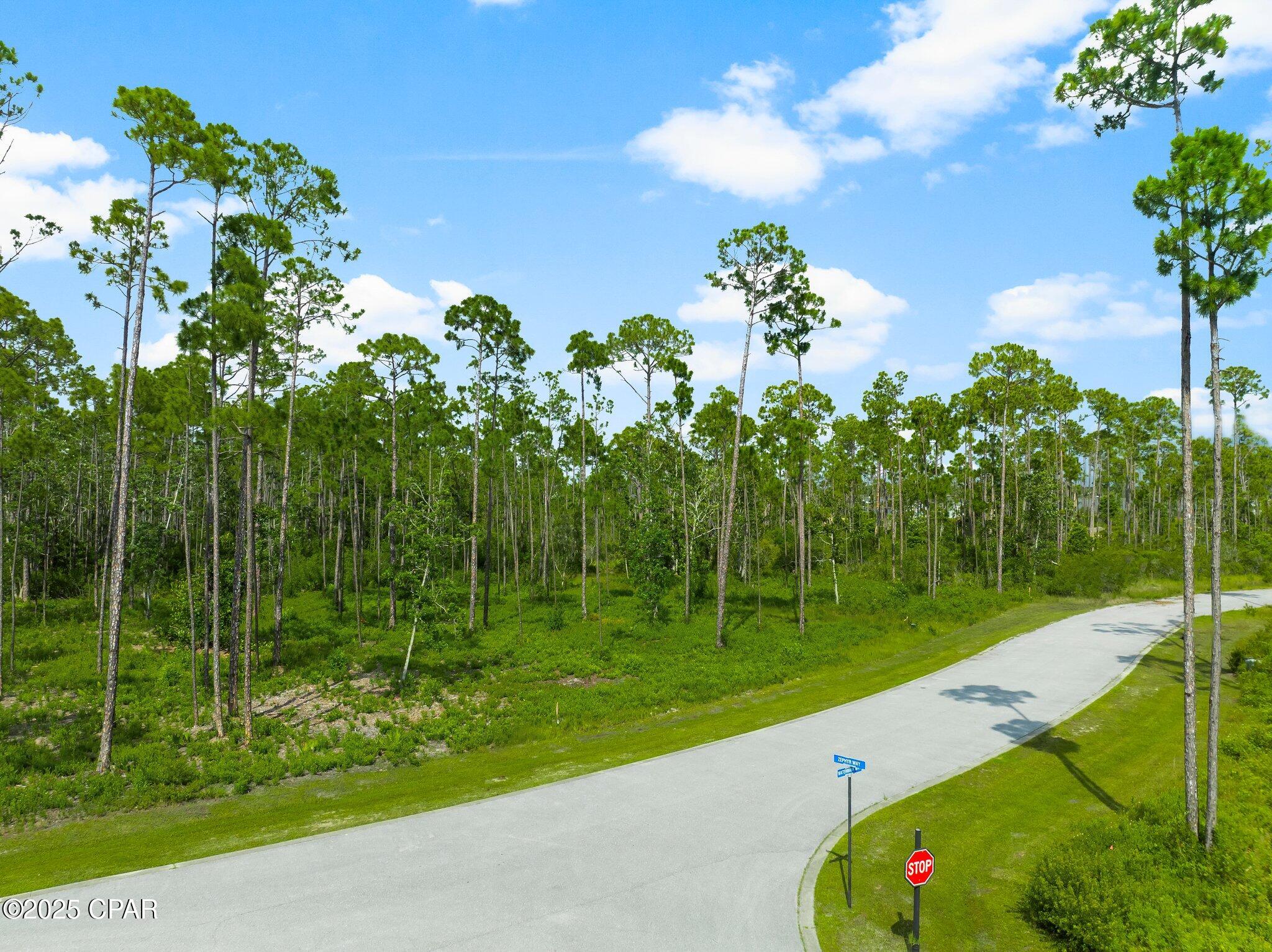 Homes for sale in Panama City, FL | 925 Watermark Way, Panama City, FL 32404 | MLS# 774685