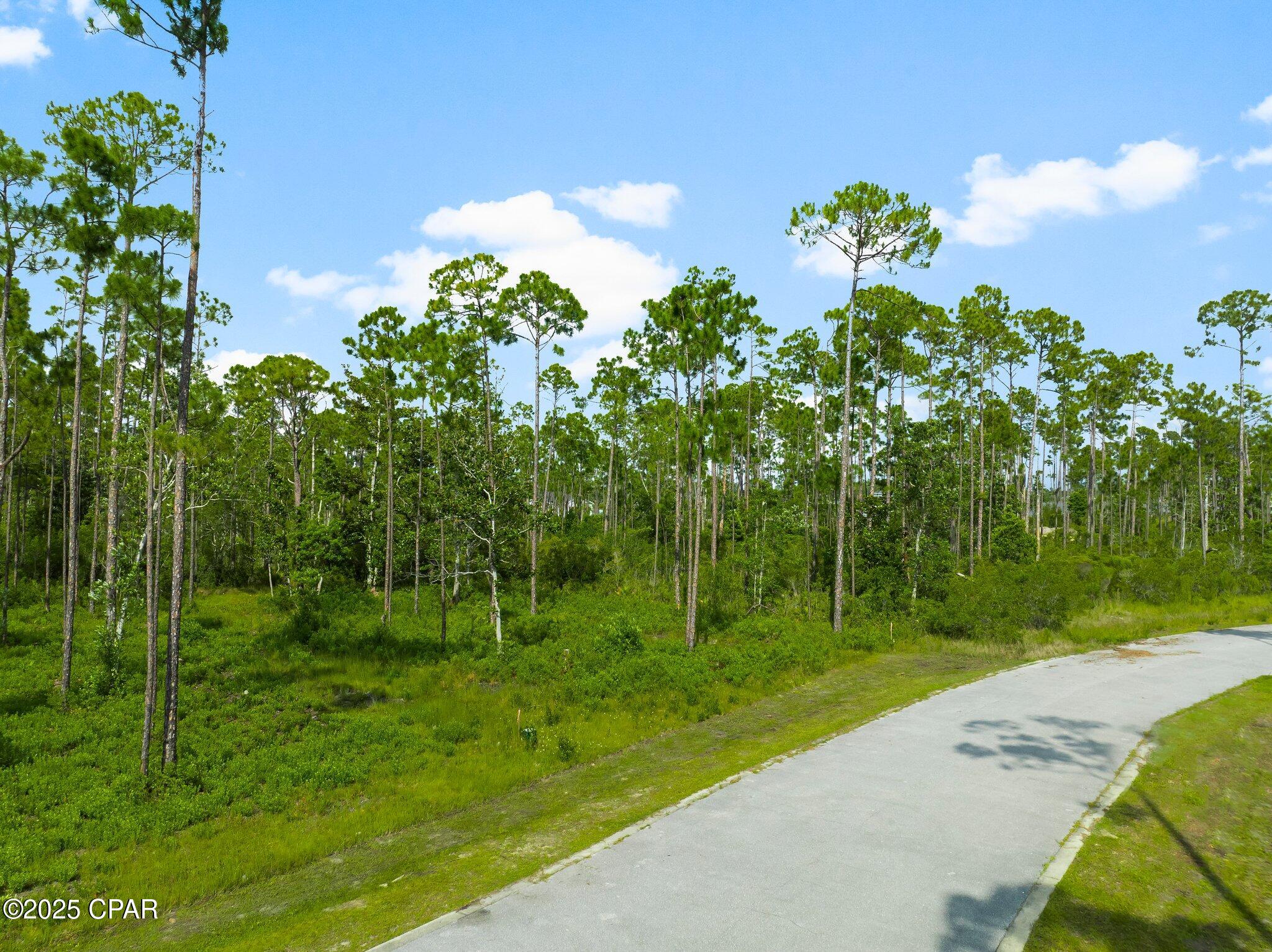 Homes for sale in Panama City, FL | 925 Watermark Way, Panama City, FL 32404 | MLS# 774685