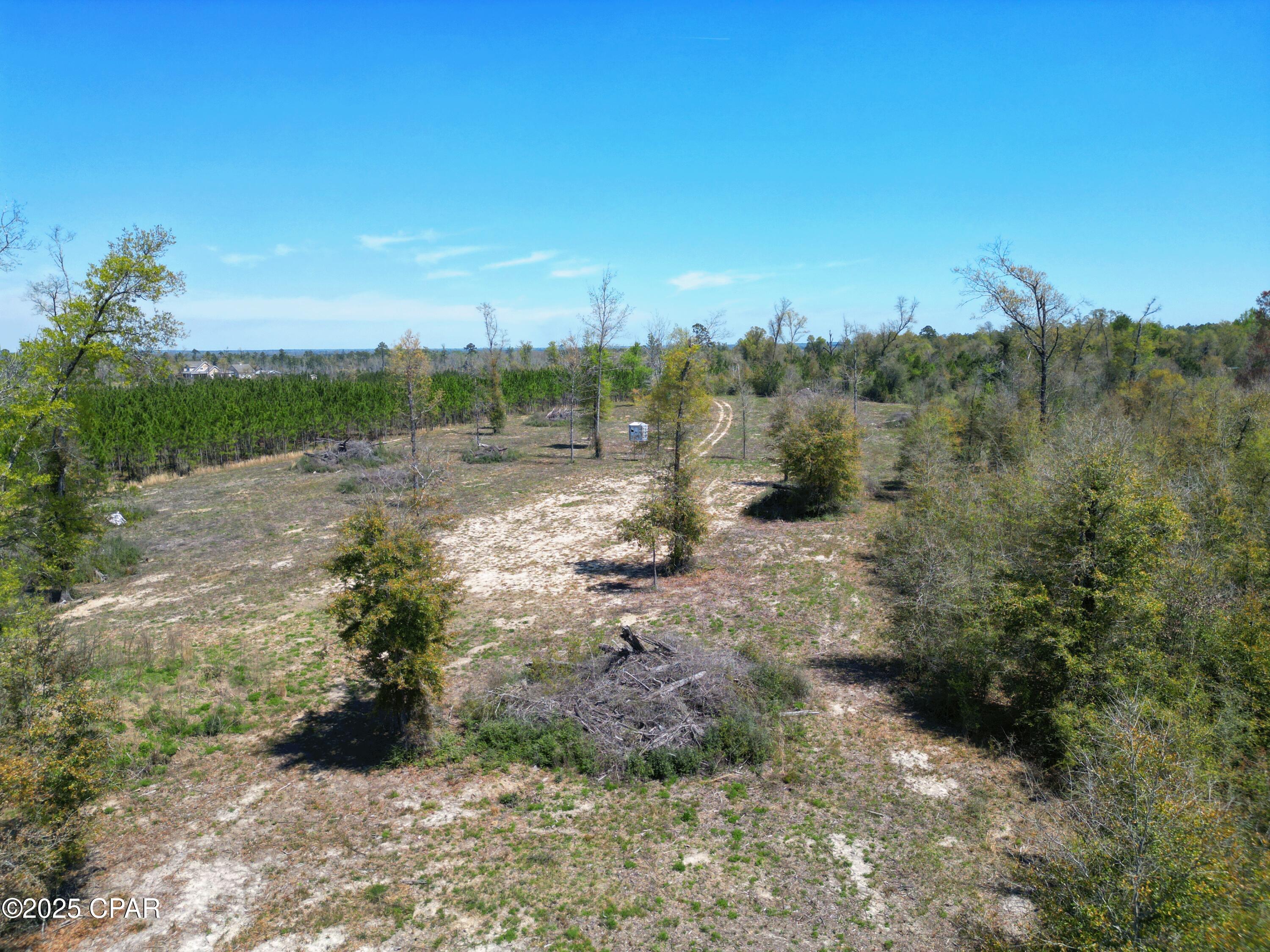 1109 Highway 73, Marianna, Florida image 2