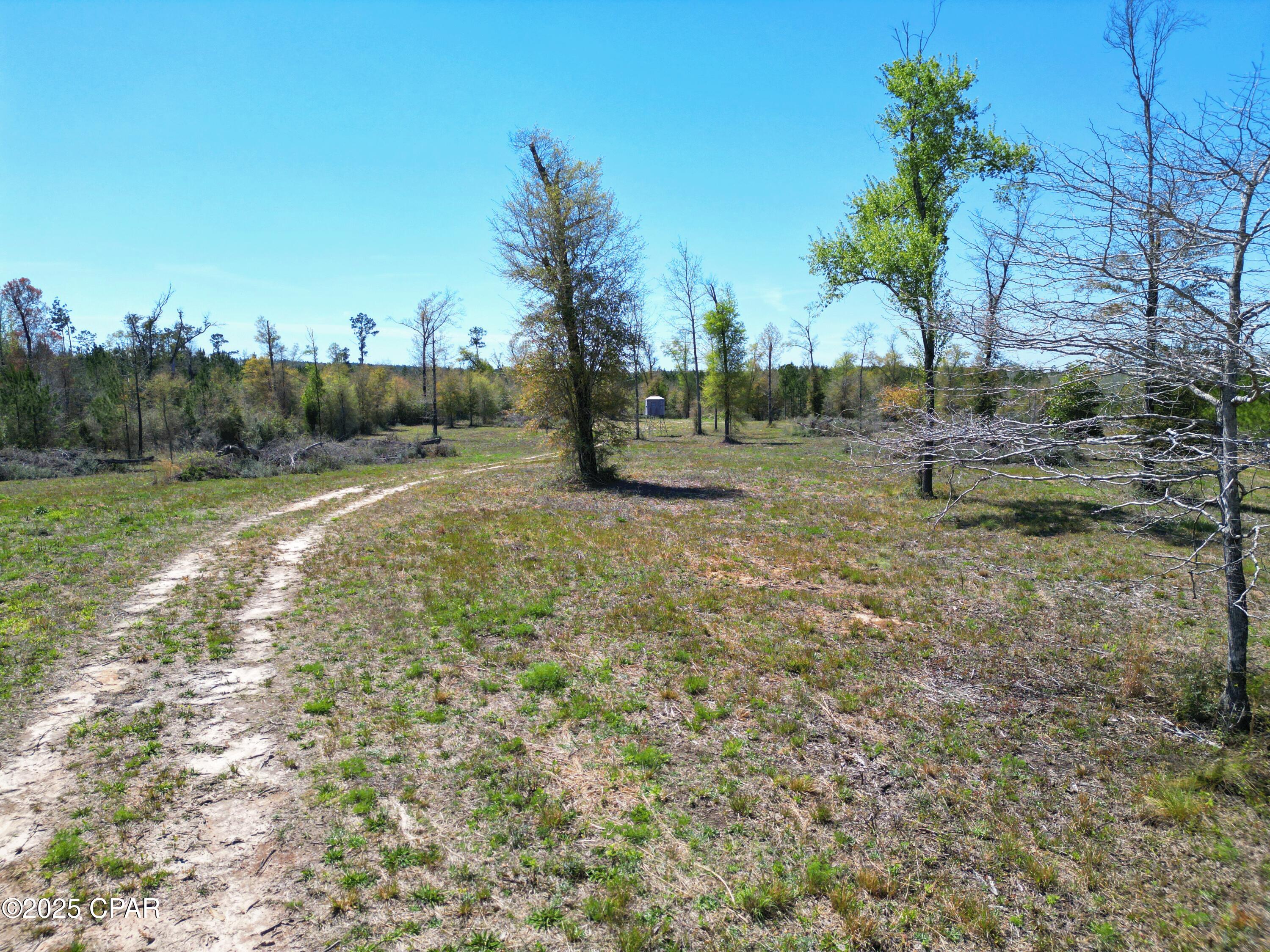 1109 Highway 73, Marianna, Florida image 3