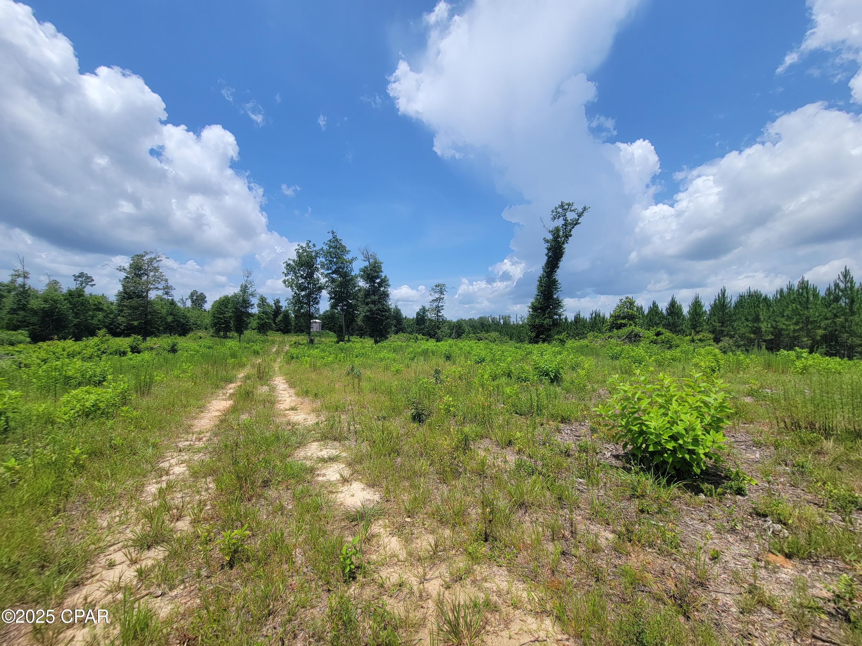 1109 Highway 73, Marianna, Florida image 5