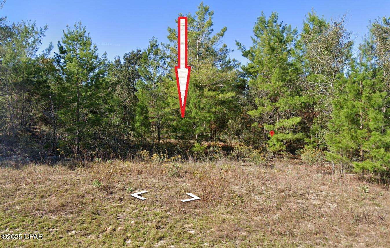 Angora Drive, Chipley, Florida image 6