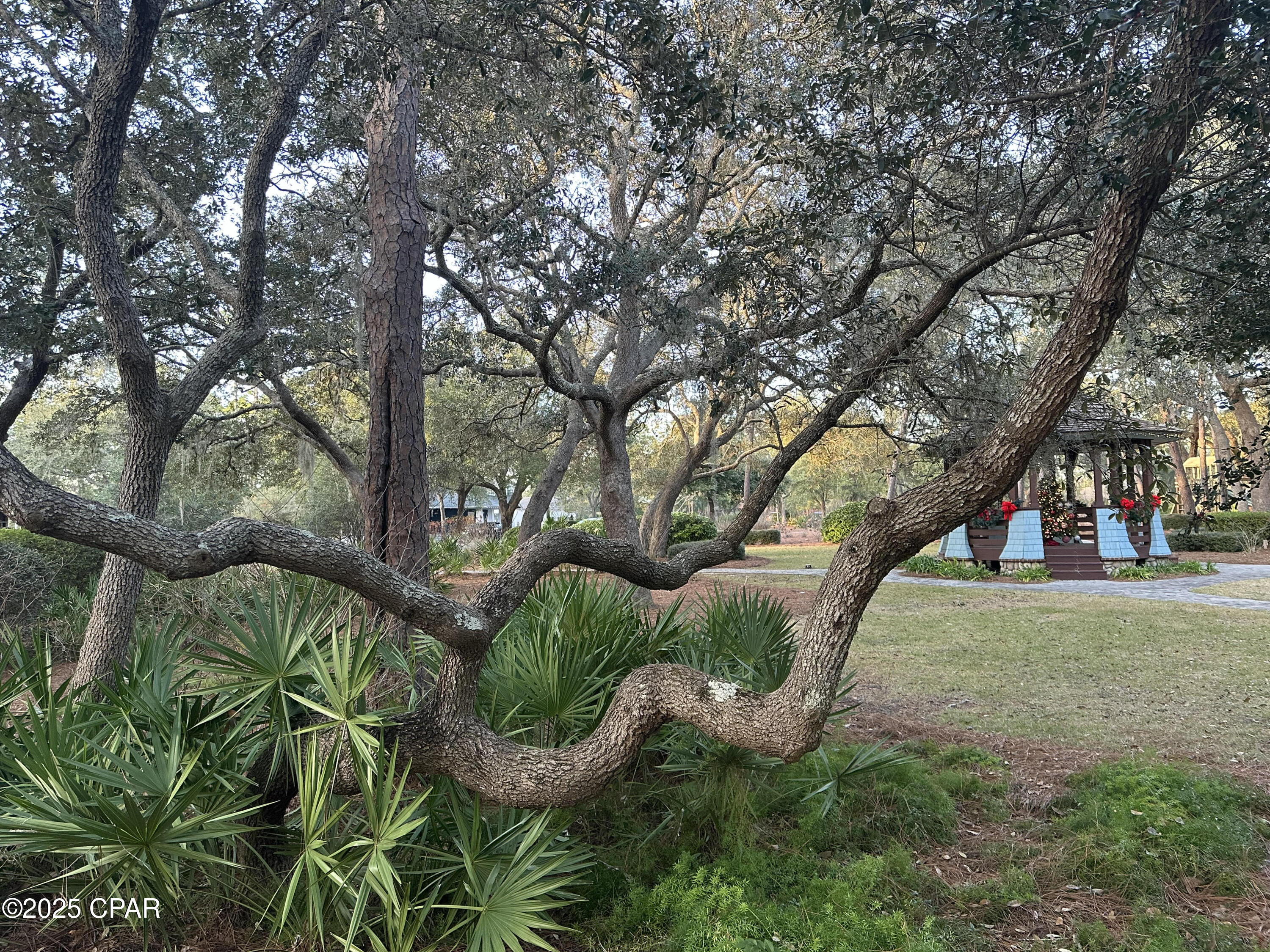 1401 Turtleback Trail, Panama City Beach, Florida image 24