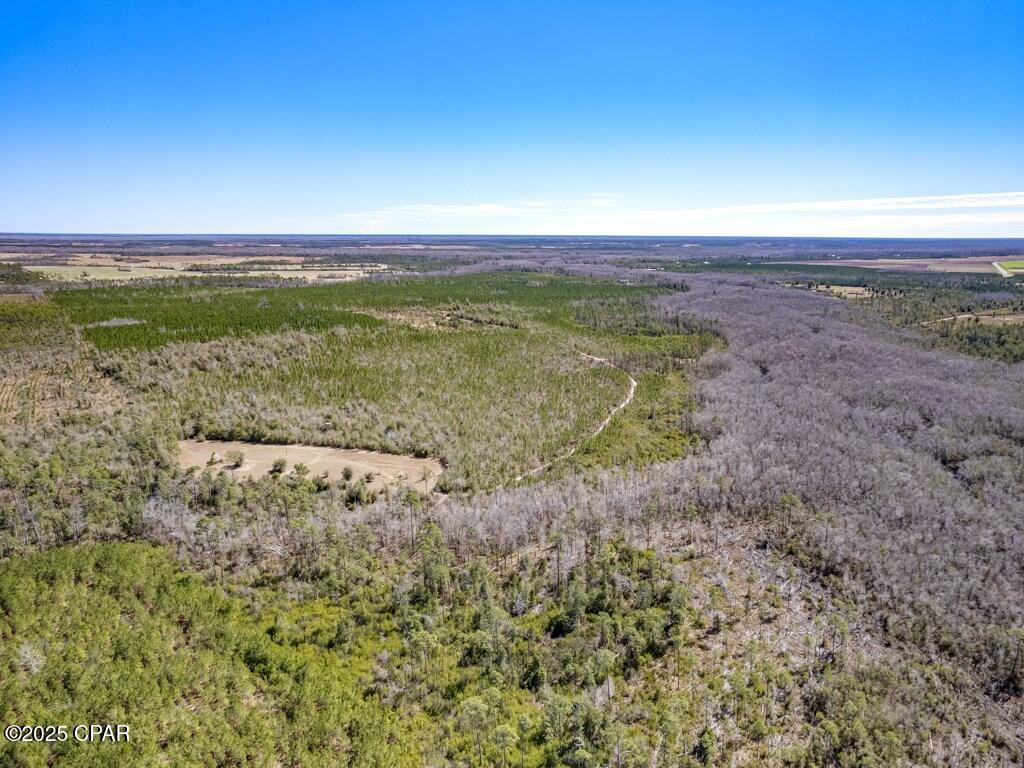 Details for 0 Sr 71  , Wewahitchka, FL 32449