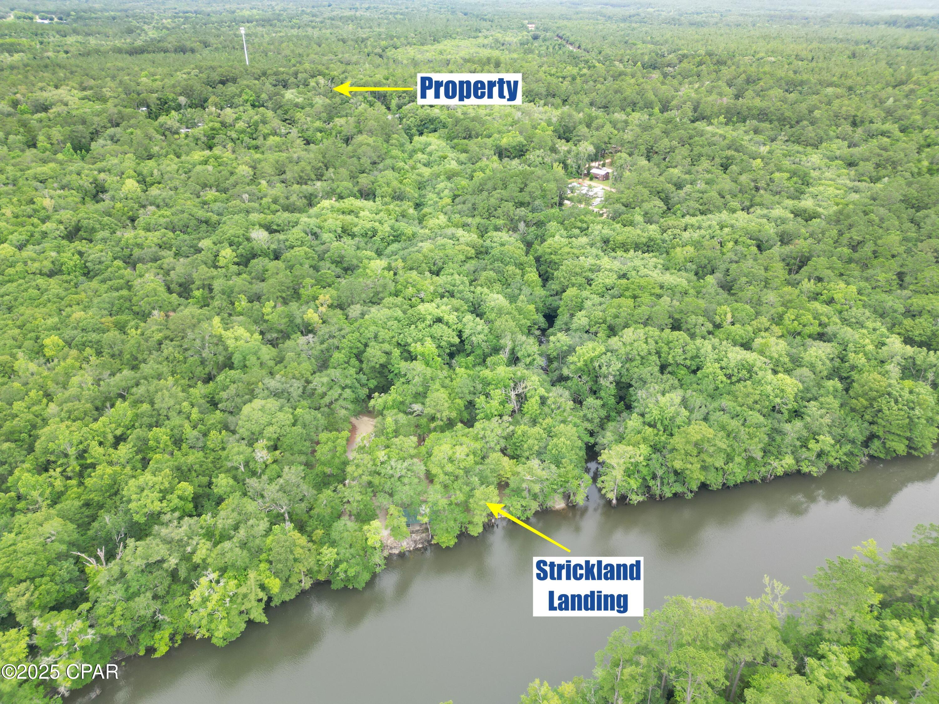4934 Bluegill Way, Vernon, Florida image 18