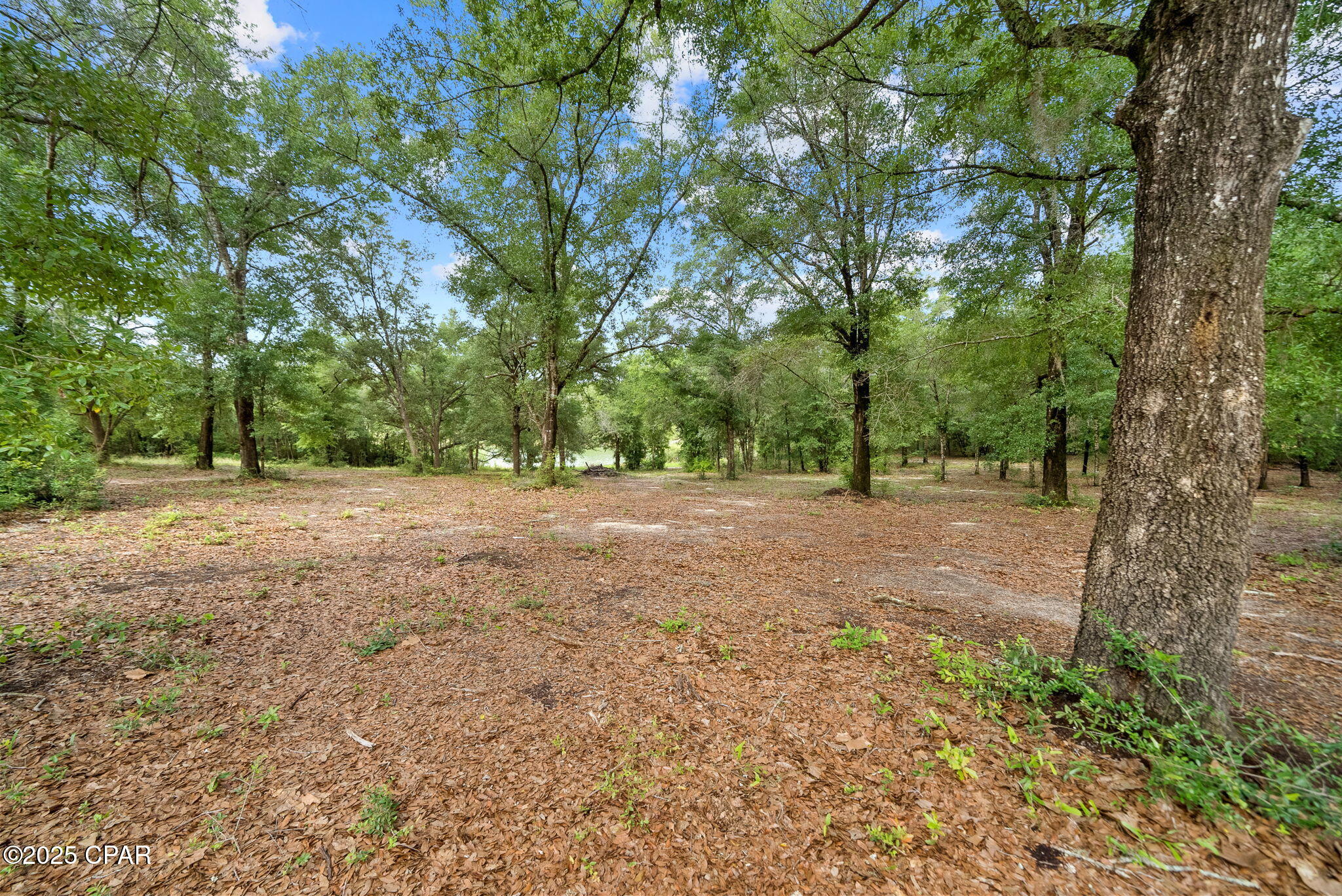 1371 Deadening Road, Chipley, Florida image 4