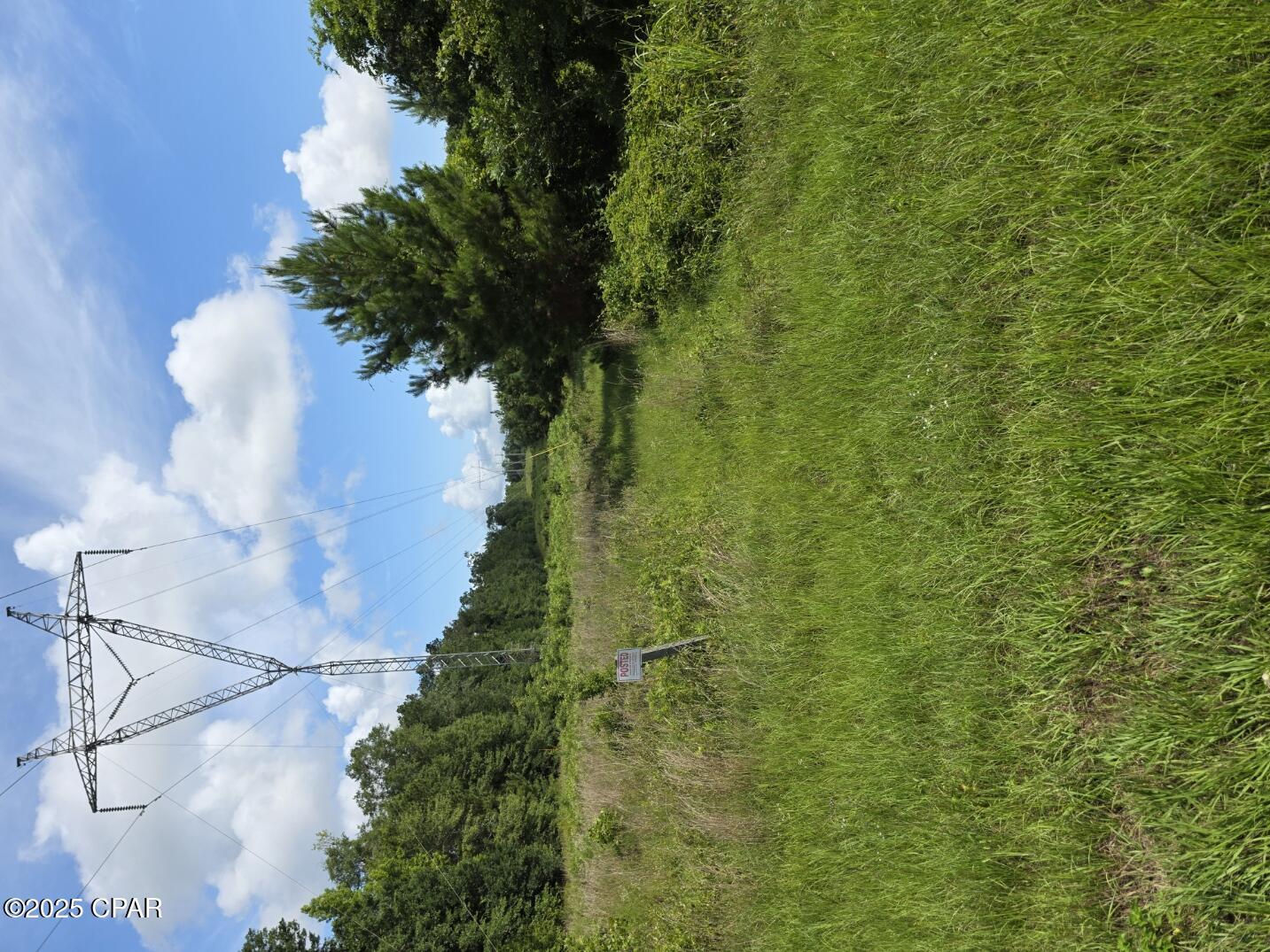 Donald Rd, Sneads, Florida image 5