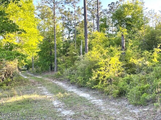 1348 Sleepy Hollow Drive, Marianna, Florida image 4
